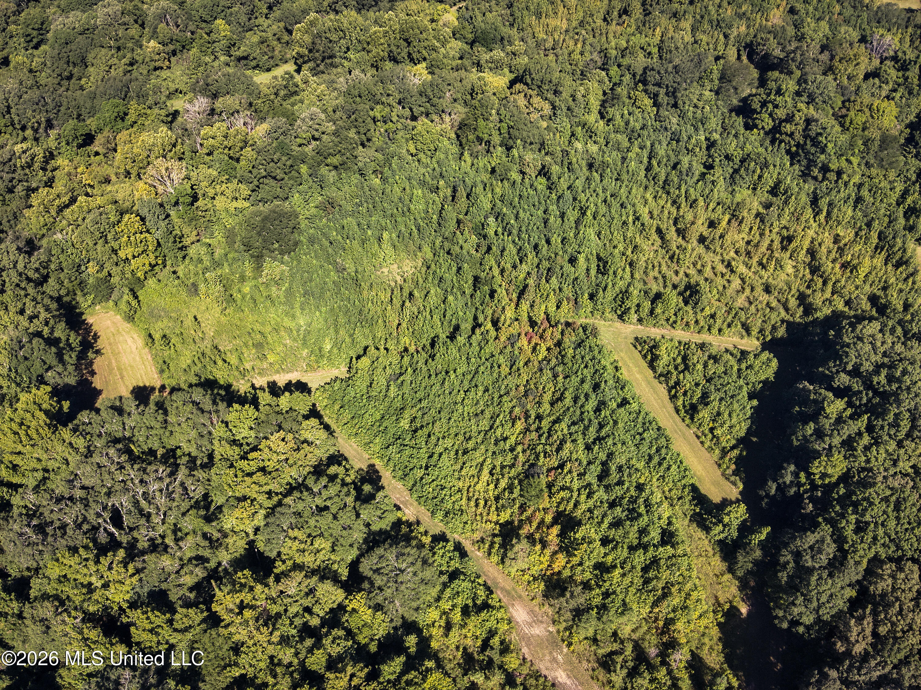 Hwy 433 S Property Photo 55