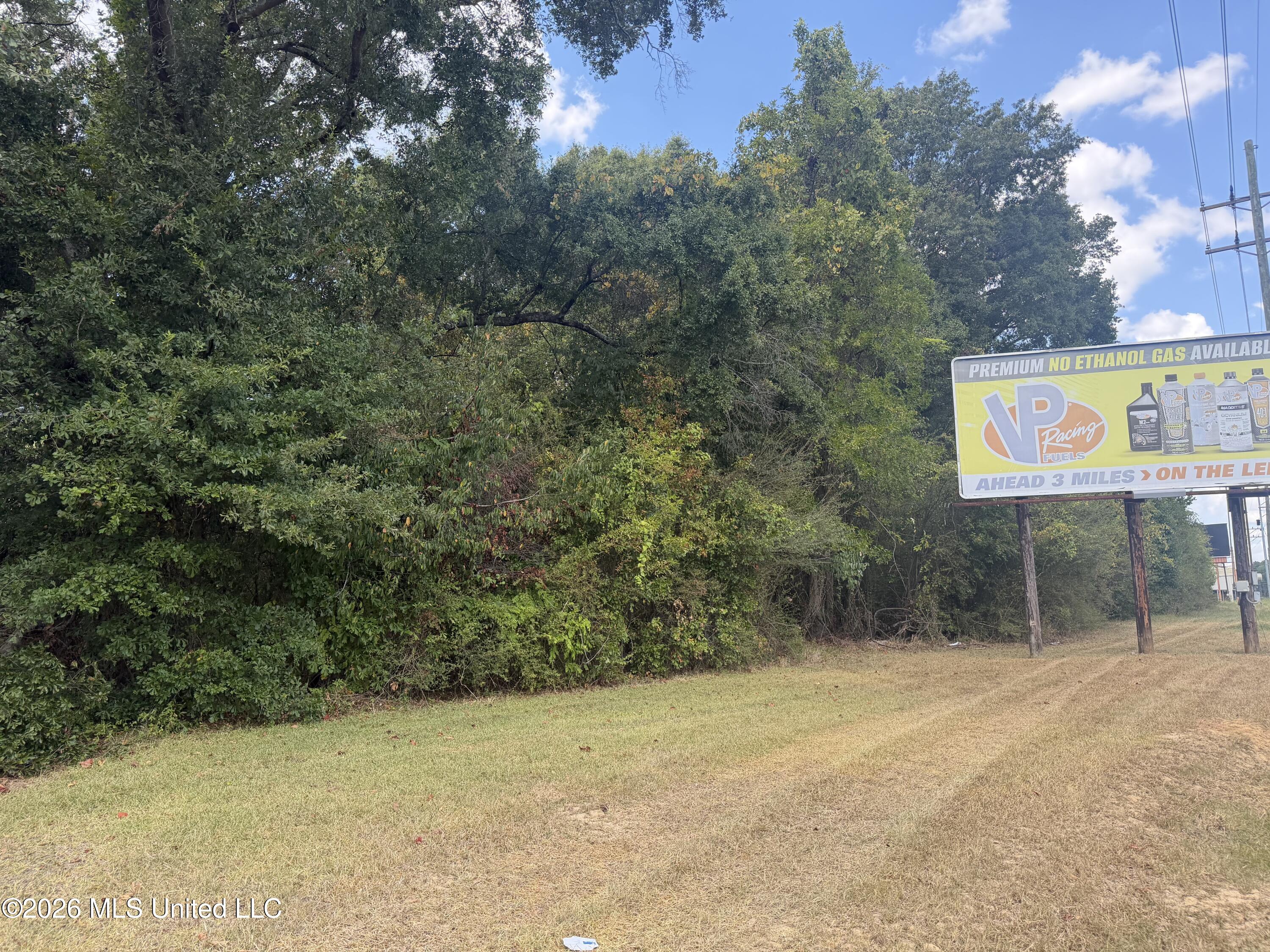 2.87 Acres U S Highway 49 Property Photo 2