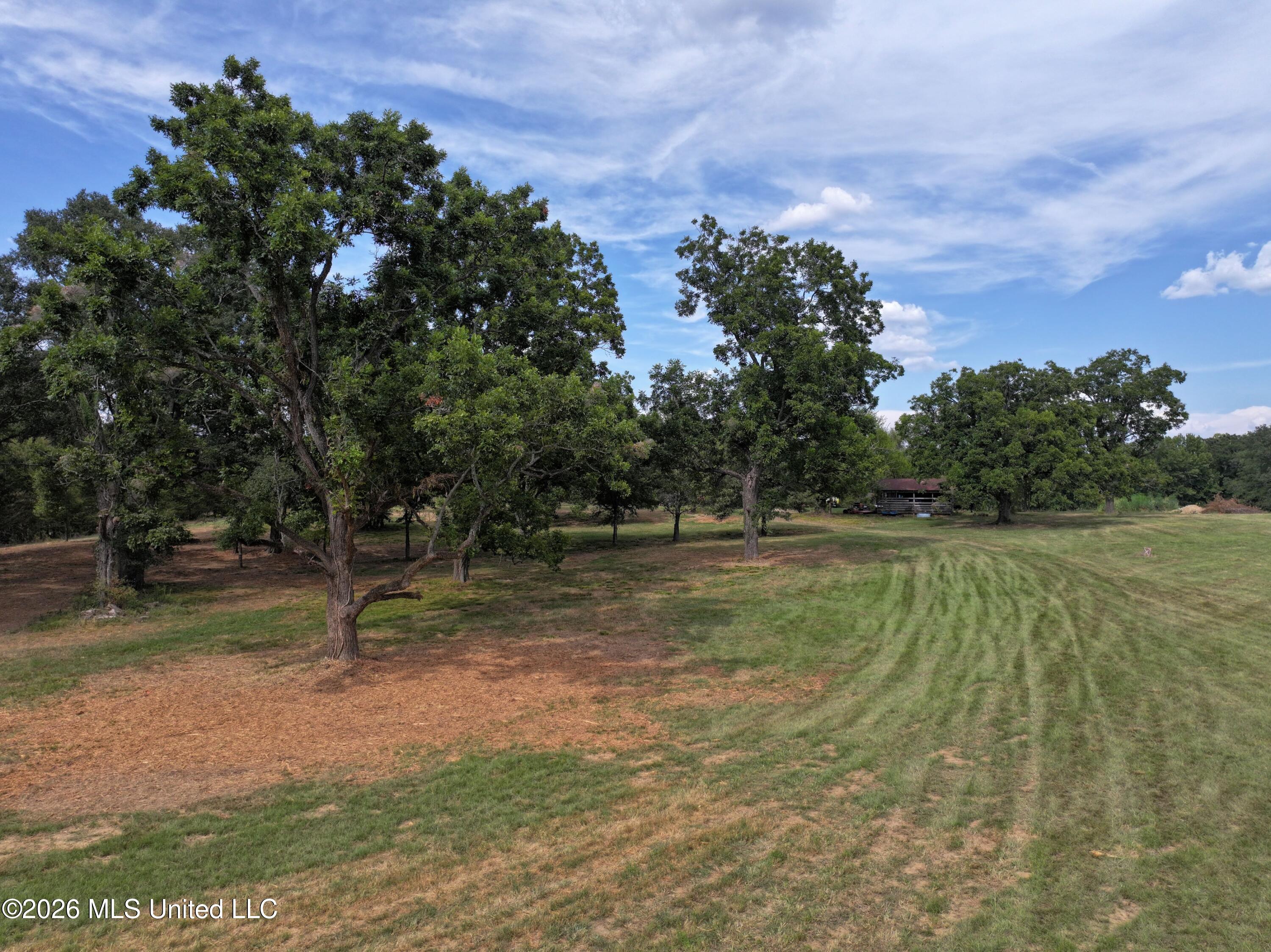 Lot 1 Wildwood Property Photo 1