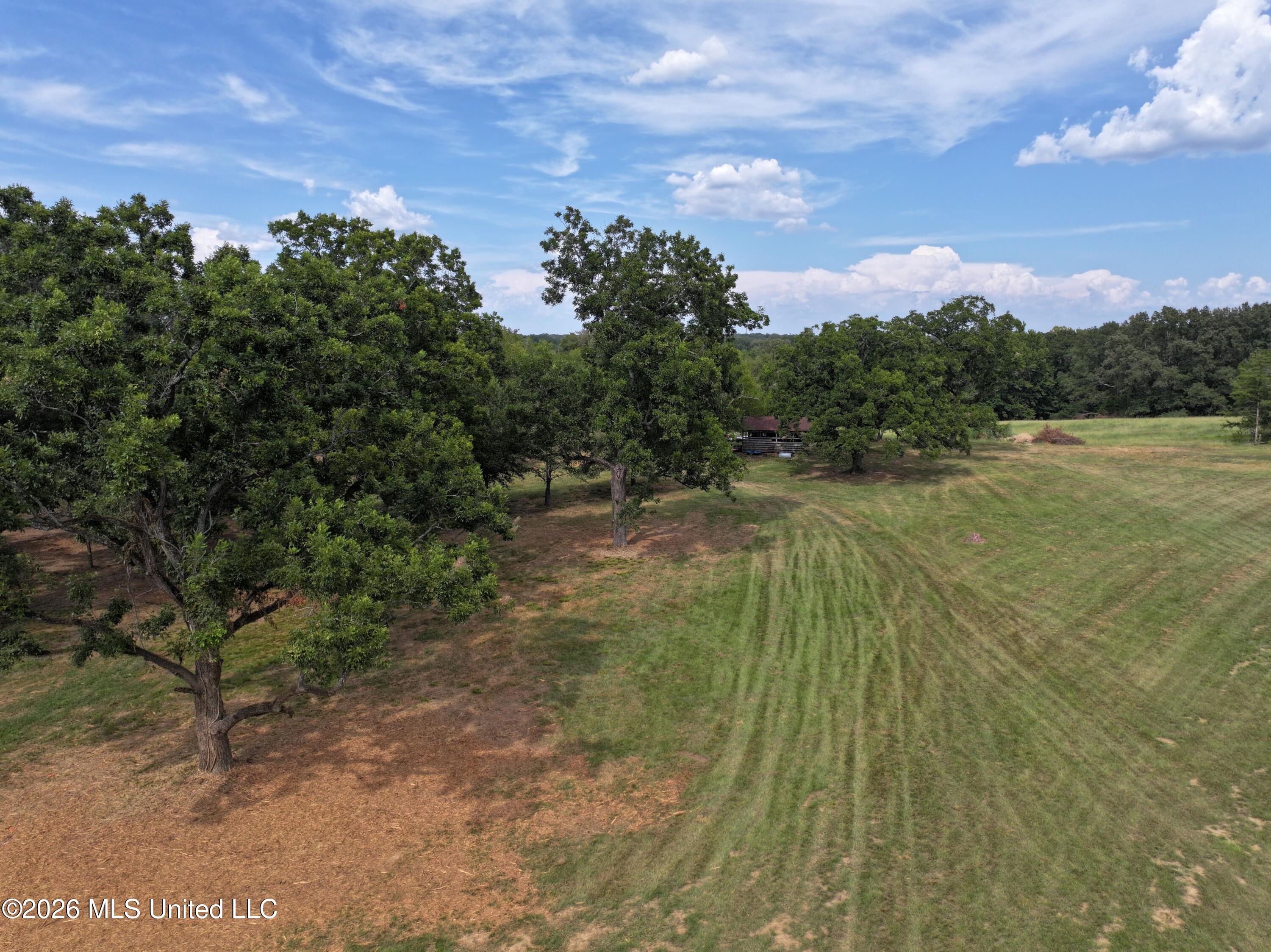Lot 1 Wildwood Property Photo 2