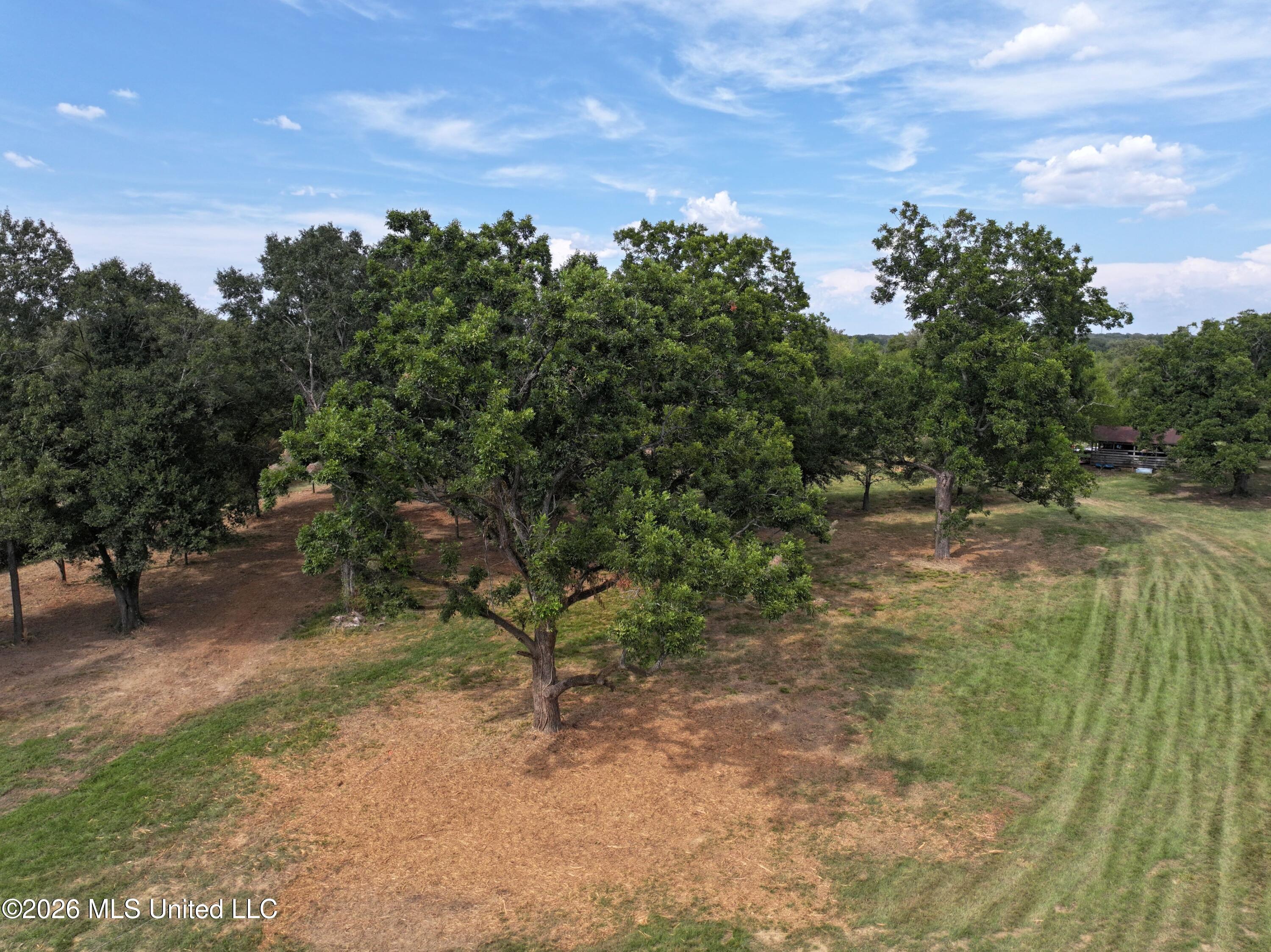 Lot 1 Wildwood Property Photo 3