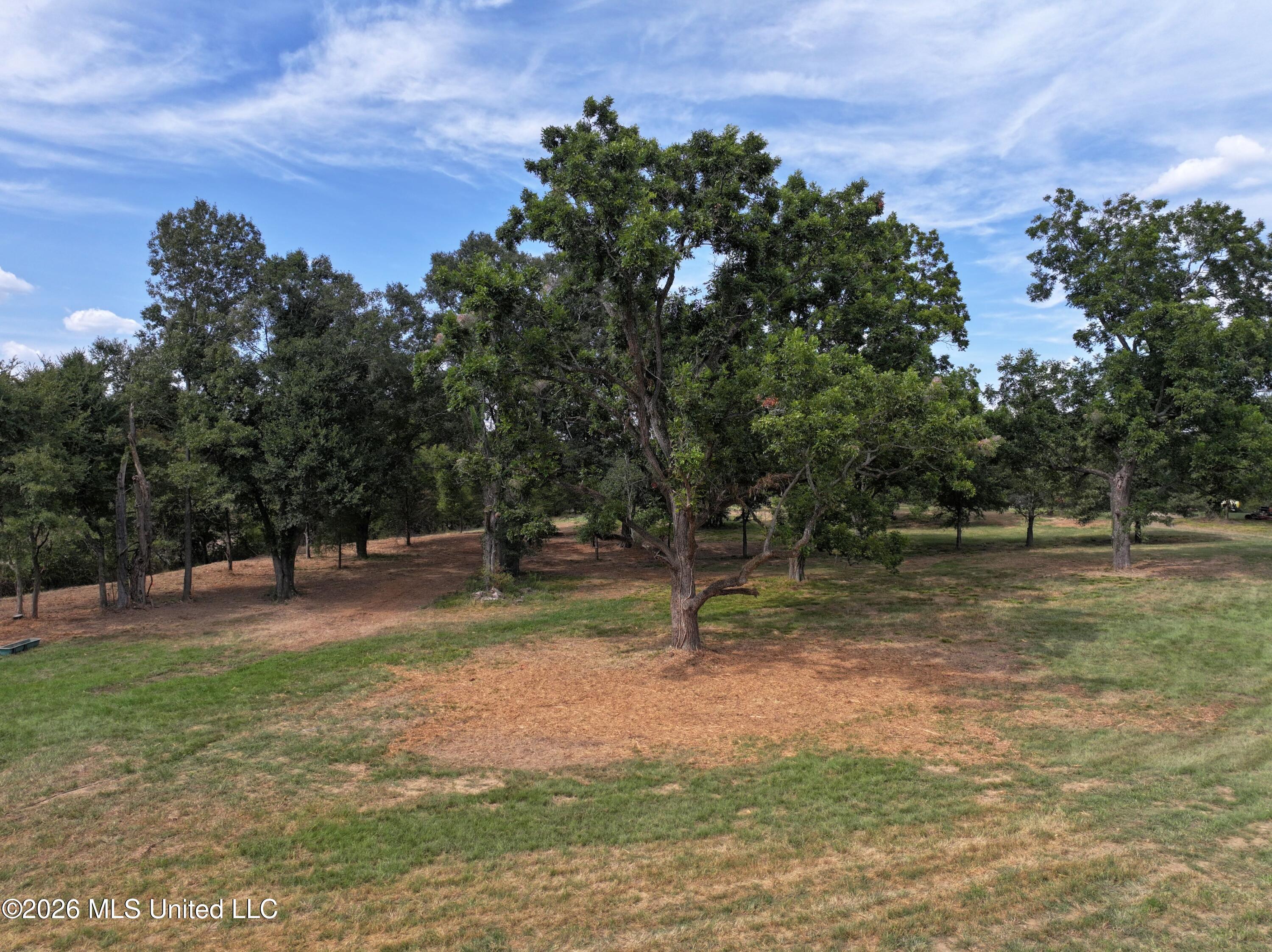 Lot 1 Wildwood Property Photo 4