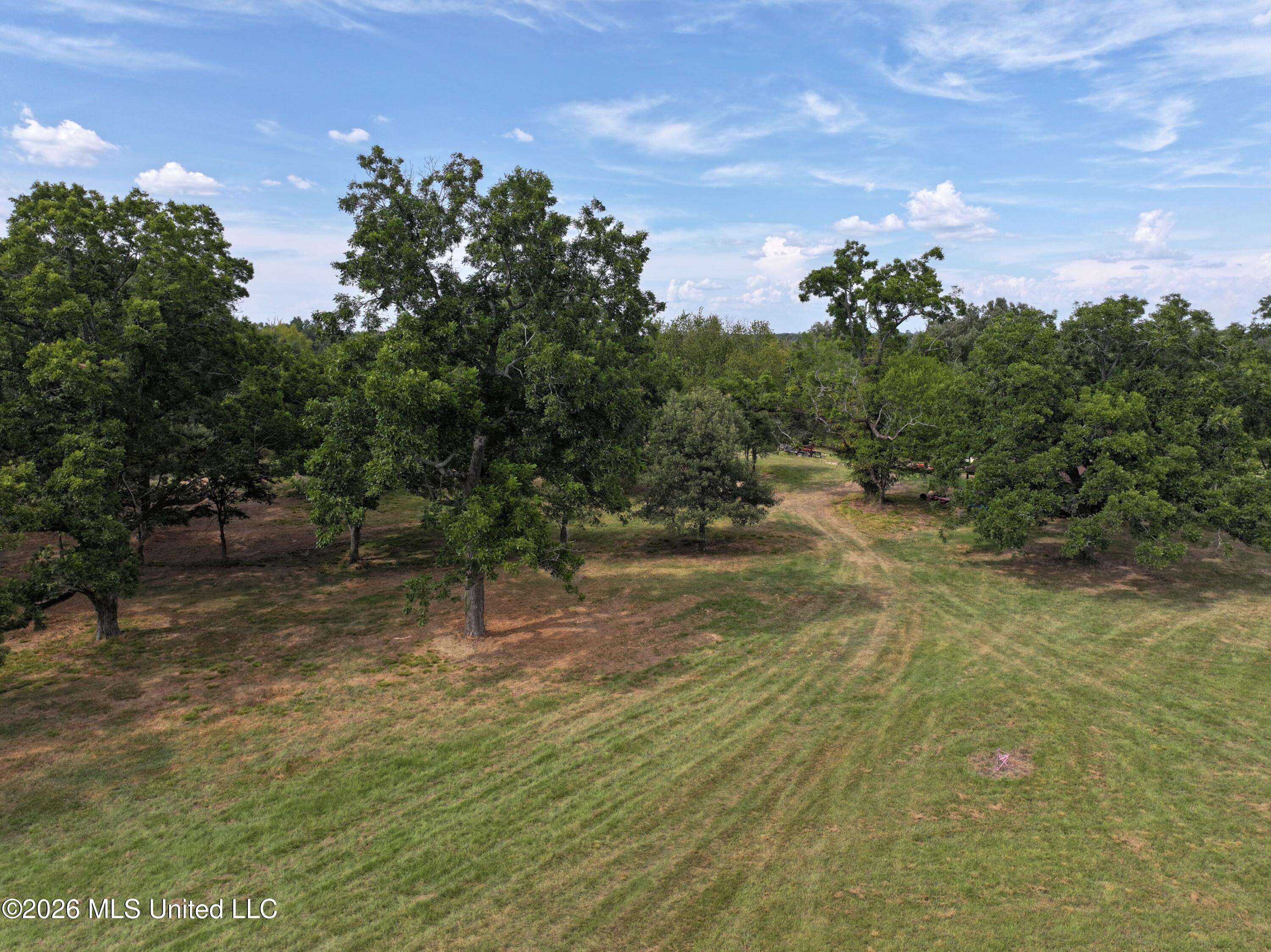 Lot 1 Wildwood Property Photo 5