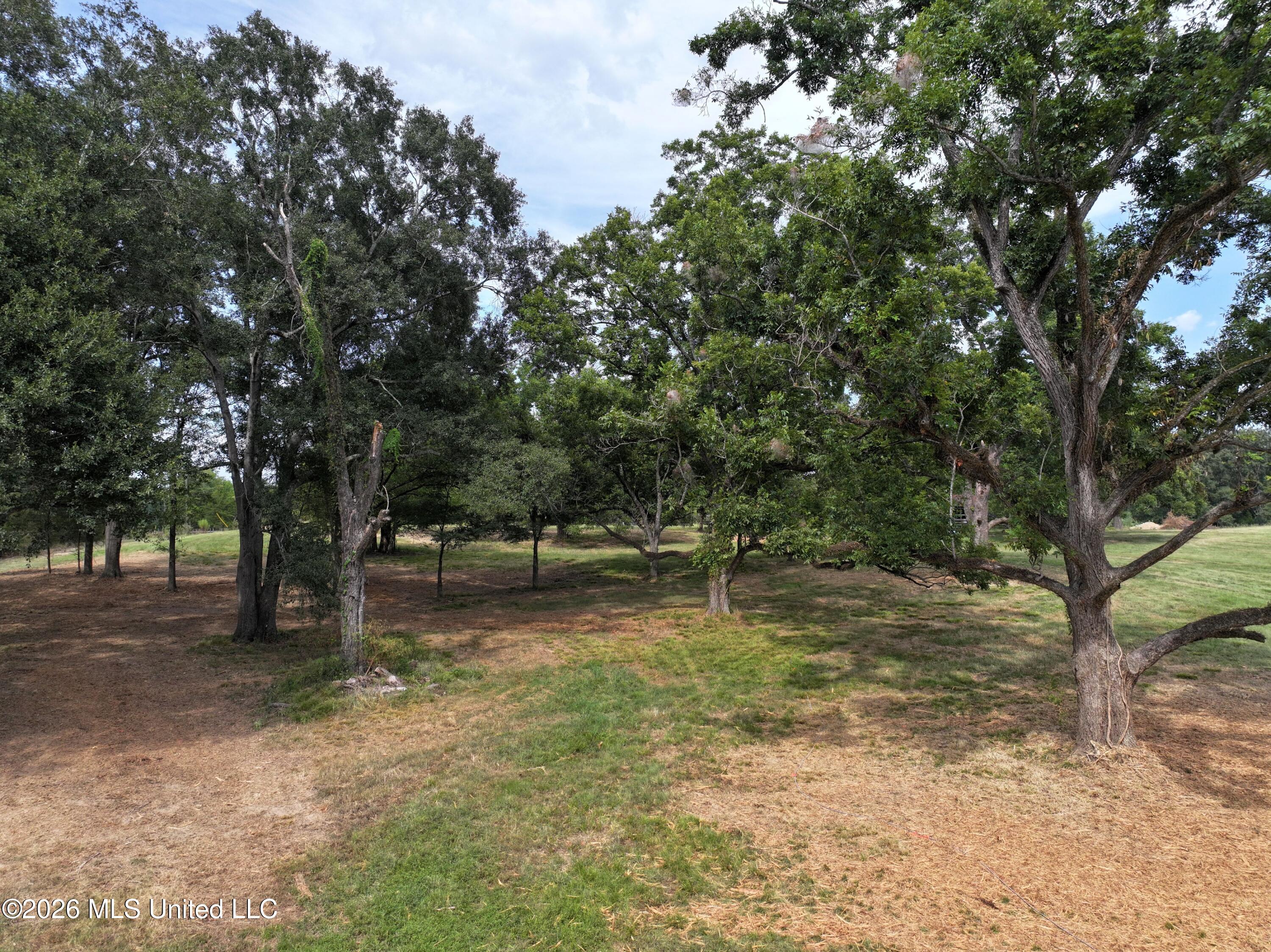 Lot 1 Wildwood Property Photo 6