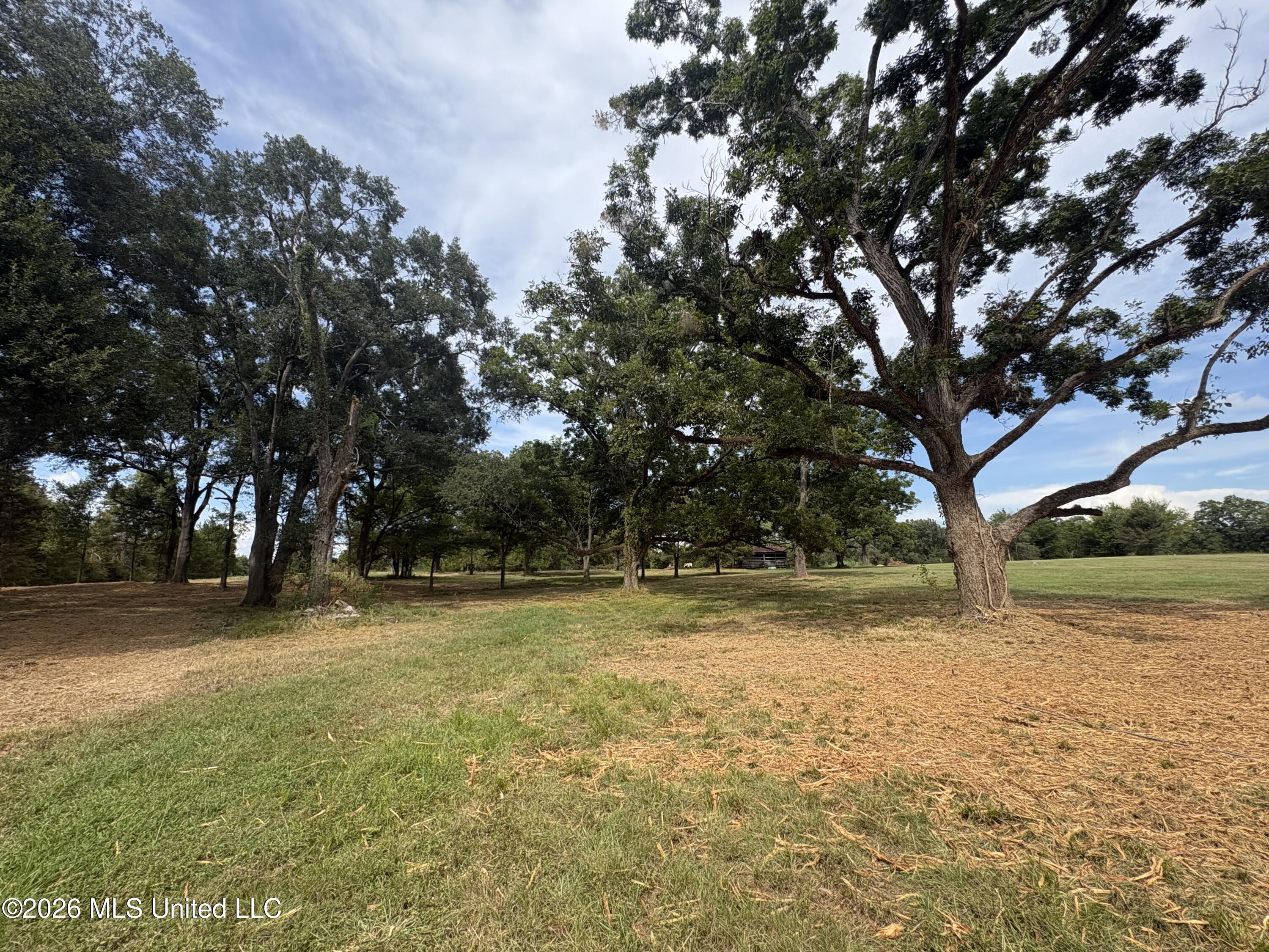 Lot 1 Wildwood Property Photo 8