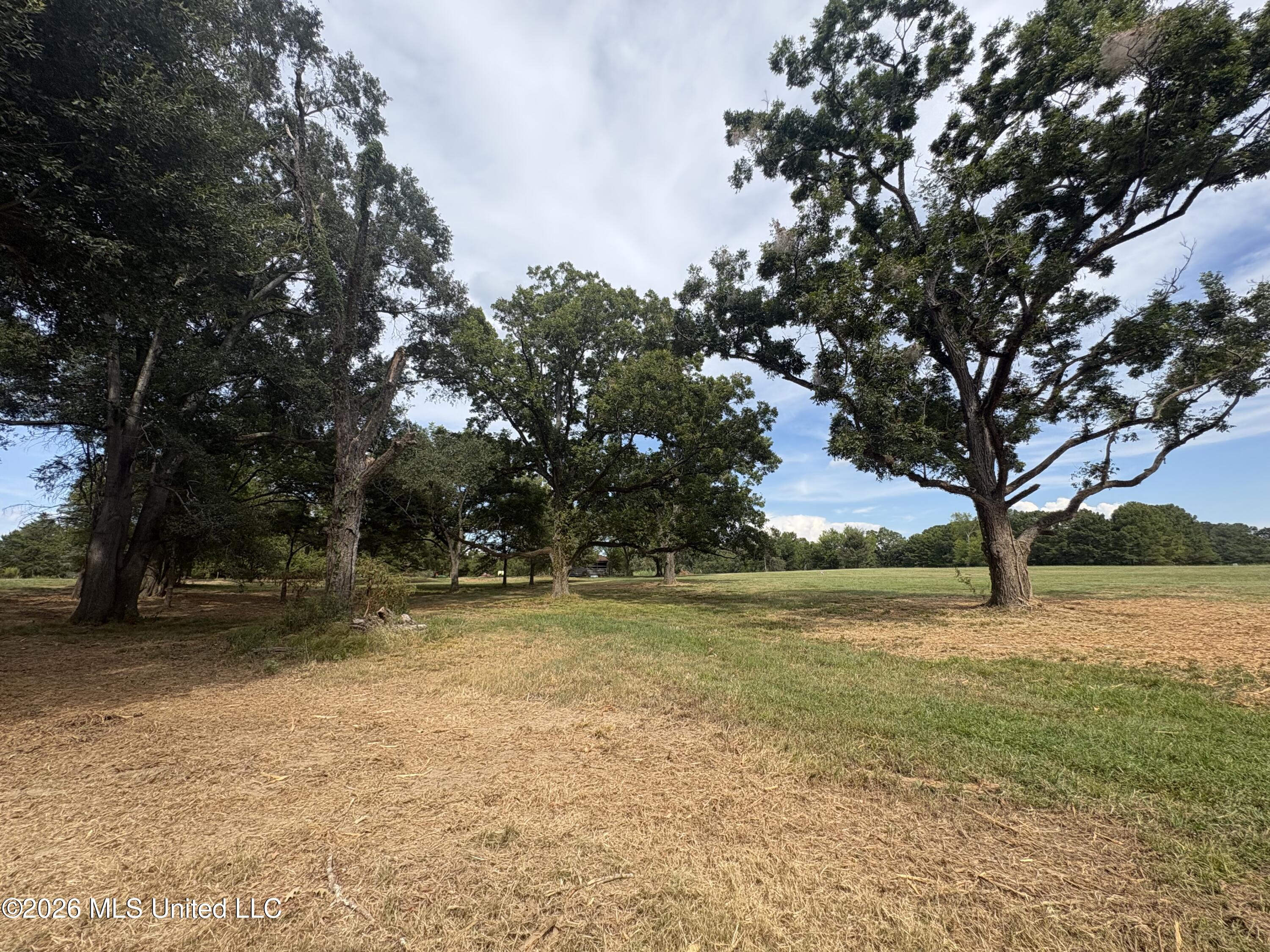 Lot 1 Wildwood Property Photo 9
