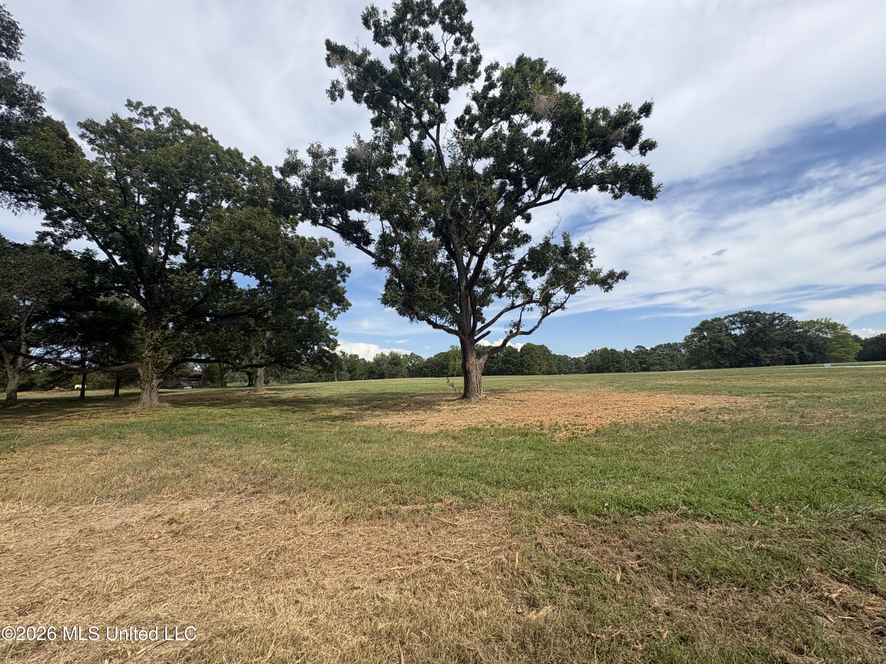 Lot 1 Wildwood Property Photo 10