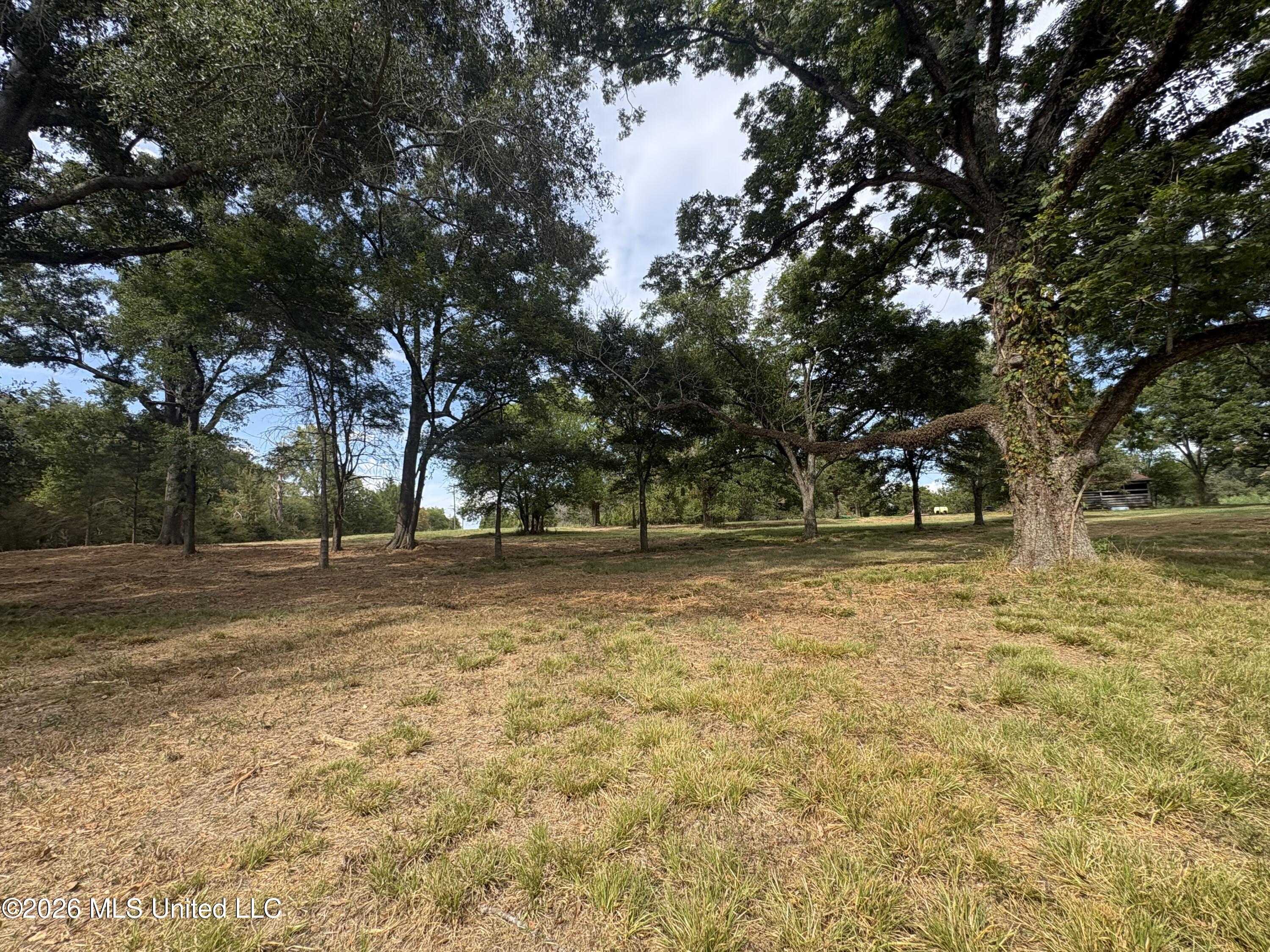 Lot 1 Wildwood Property Photo 11