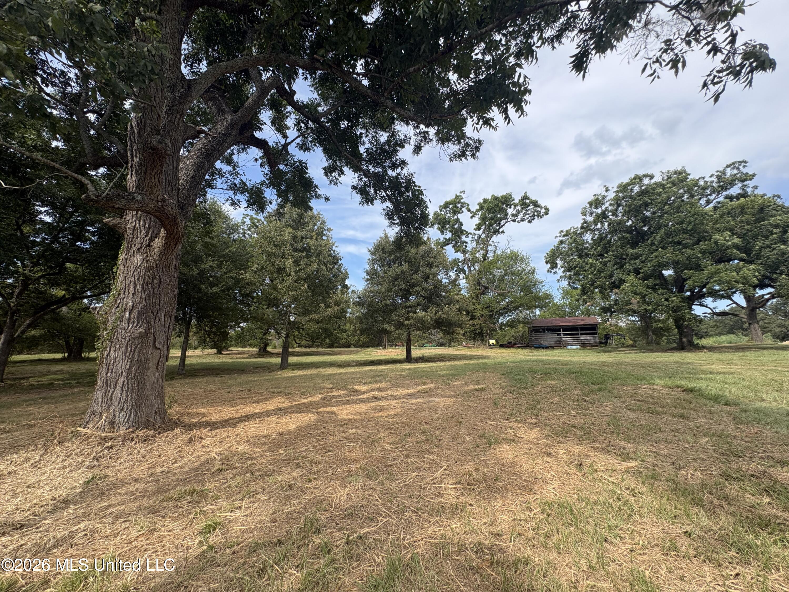 Lot 1 Wildwood Property Photo 12