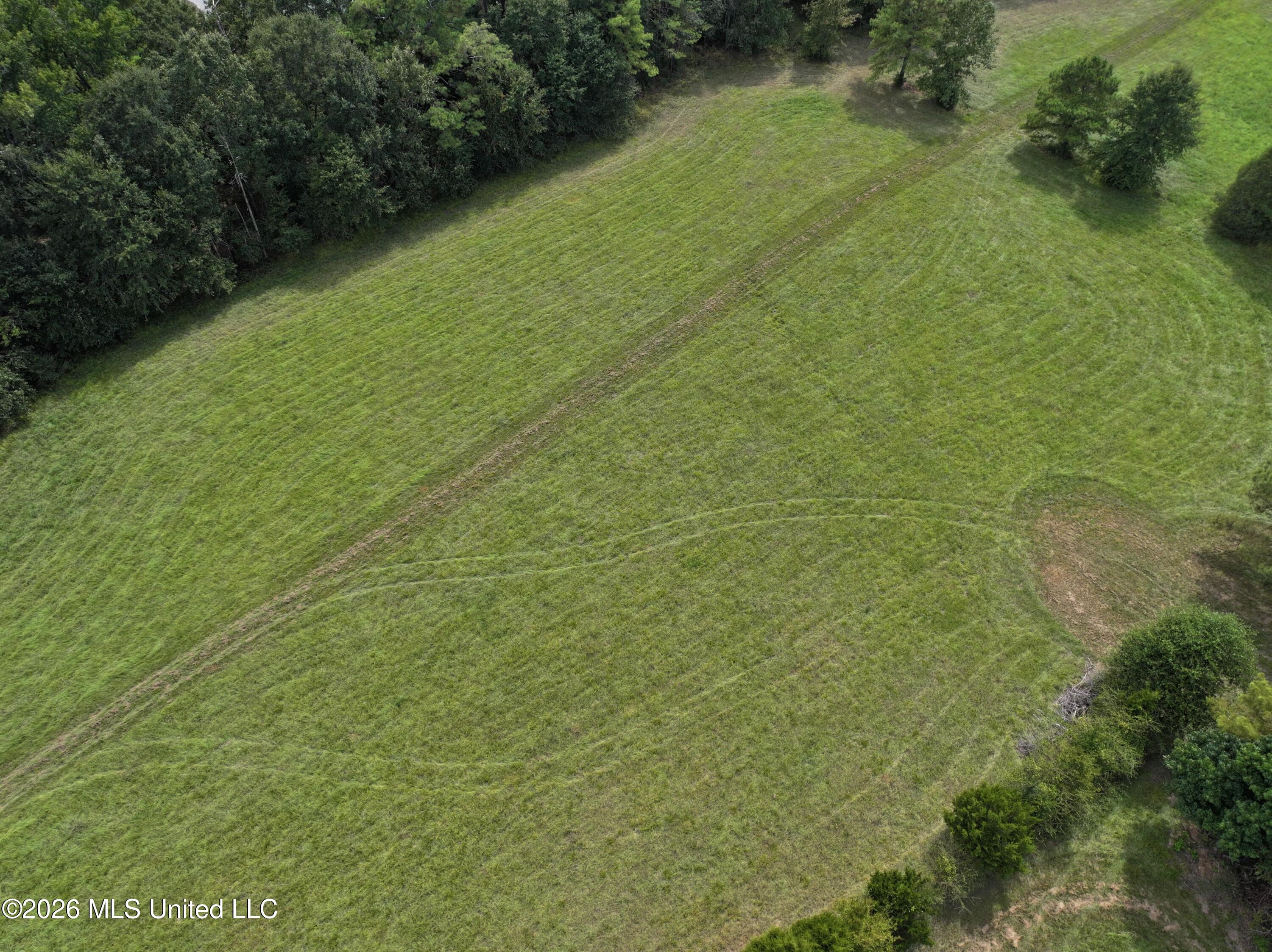 Lot 10 Wildwood Property Photo 9