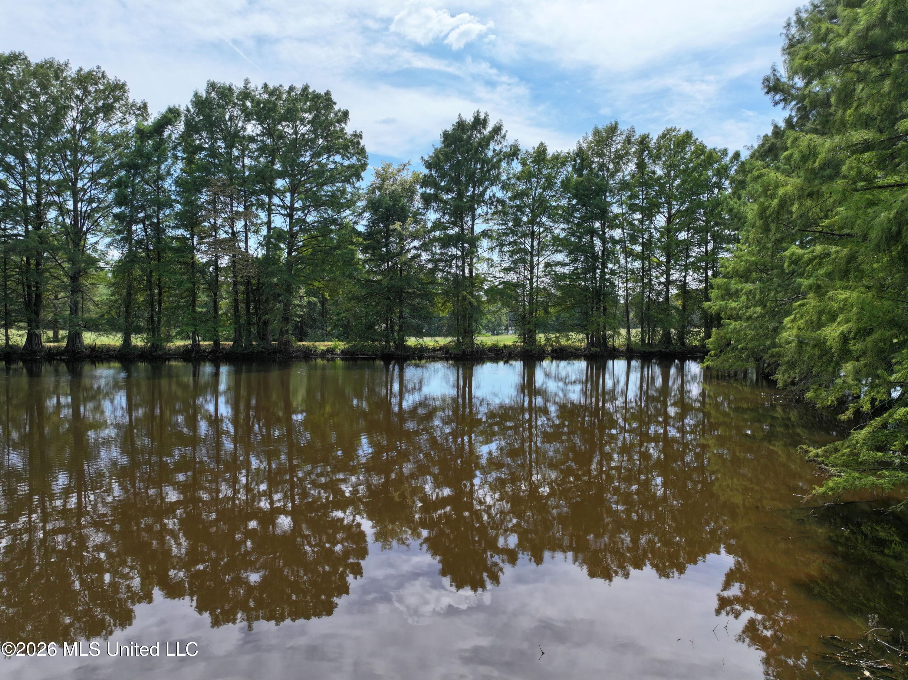Lot 10 Wildwood Property Photo 17