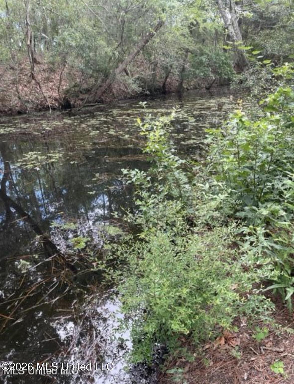 Robertsdale Road Property Photo 4