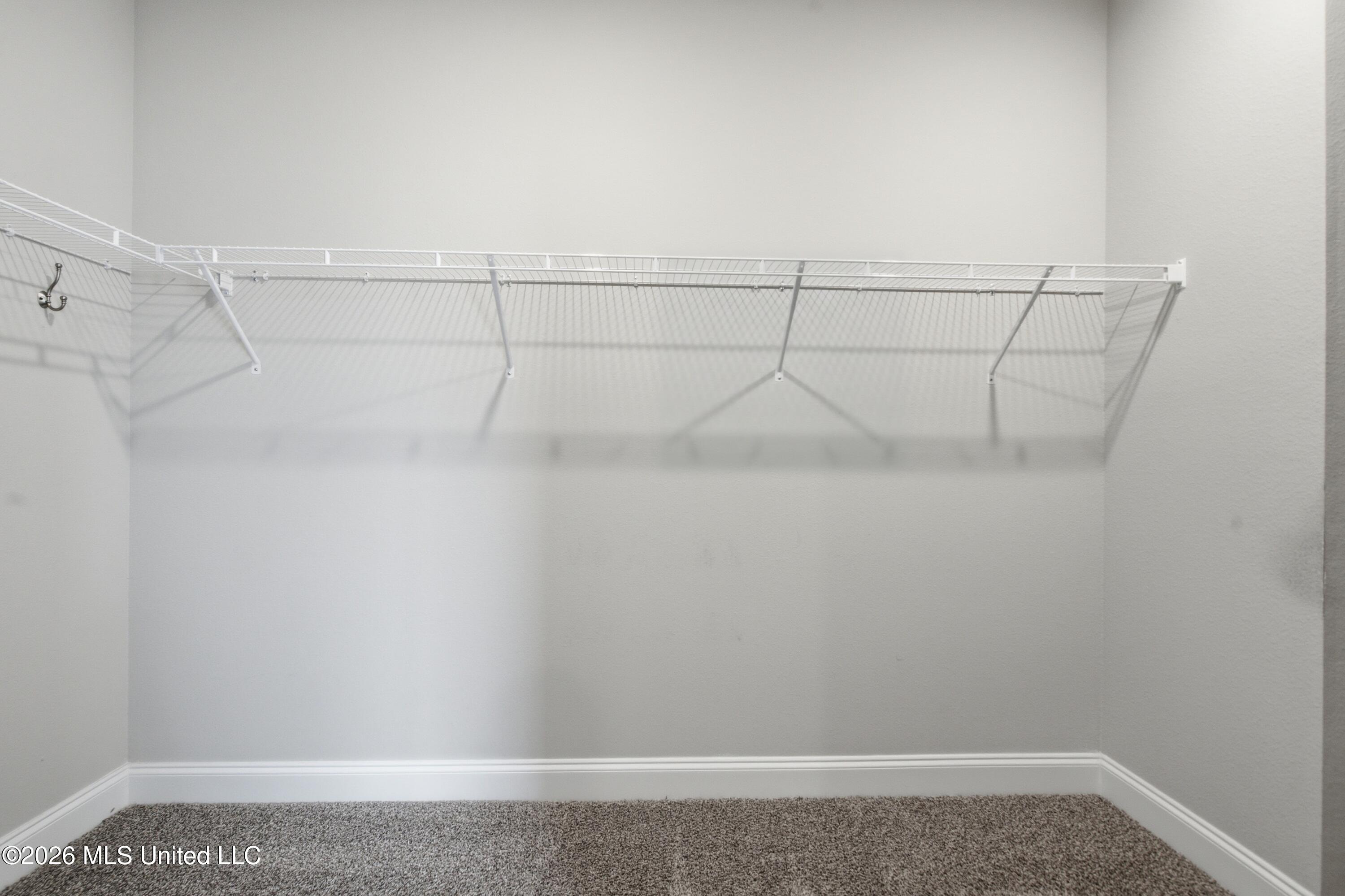 11613 Talla Drive Property Photo 24