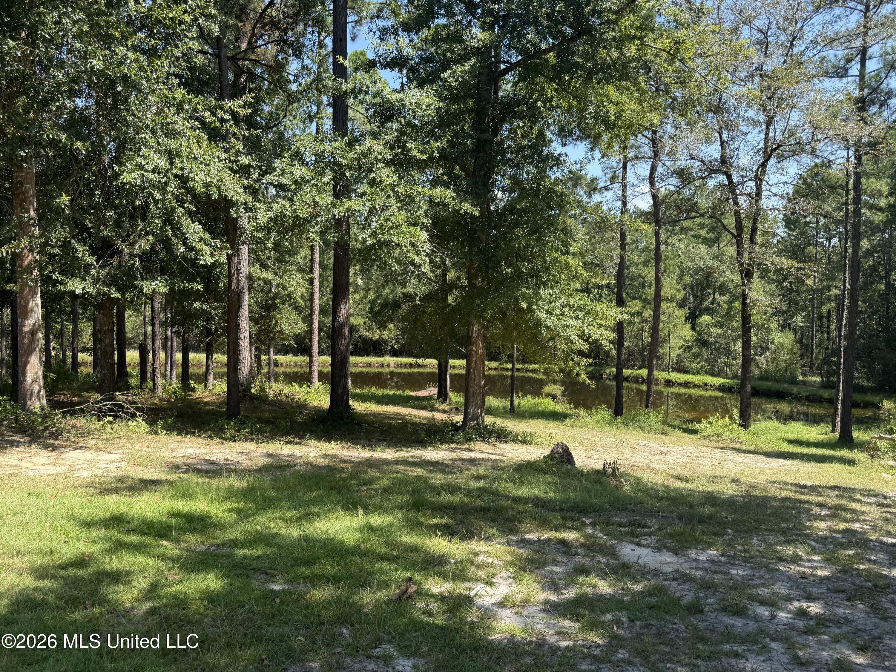 1260 Turner Whittington Road Property Photo 20
