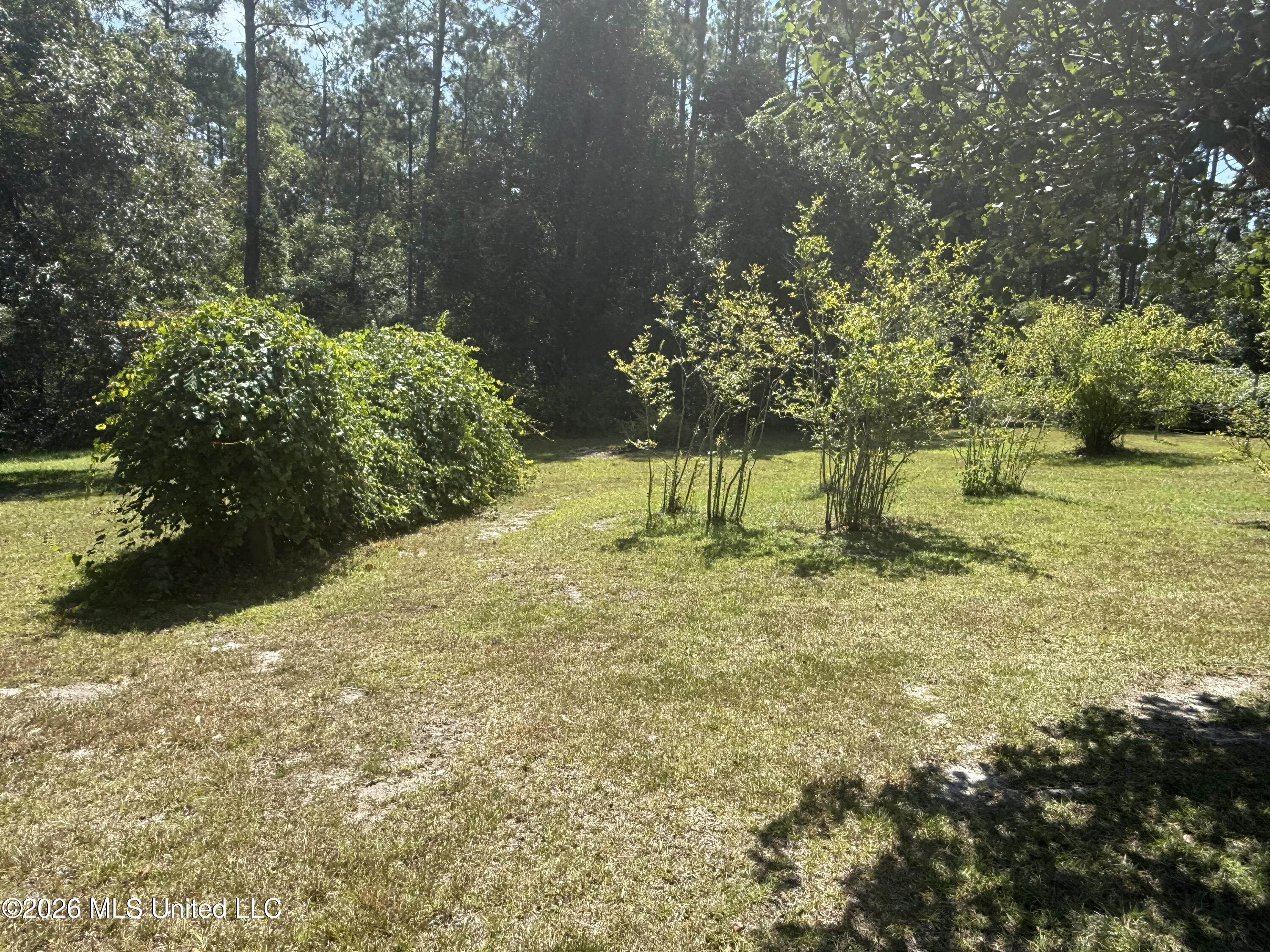 1260 Turner Whittington Road Property Photo 21