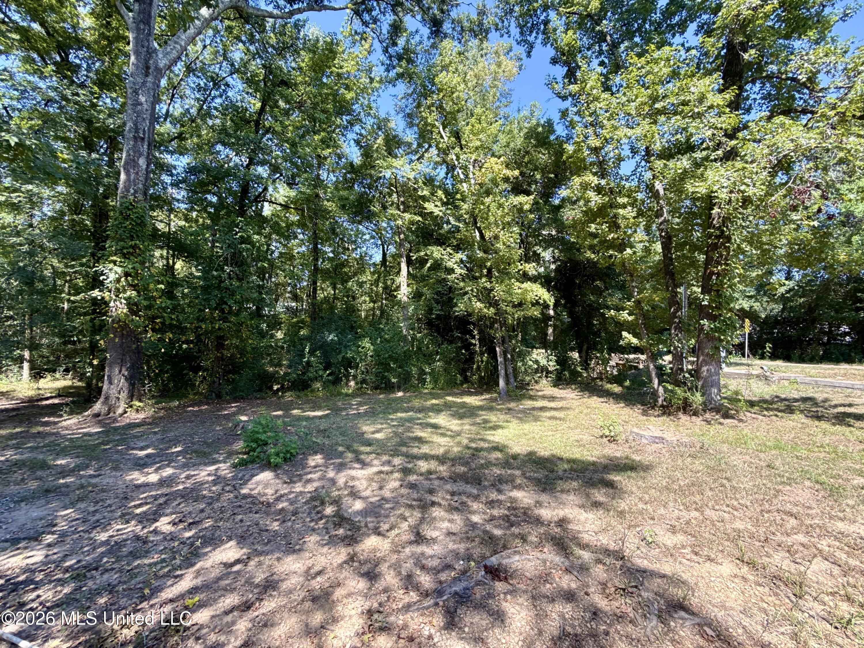 107 Copley Street Property Photo 18