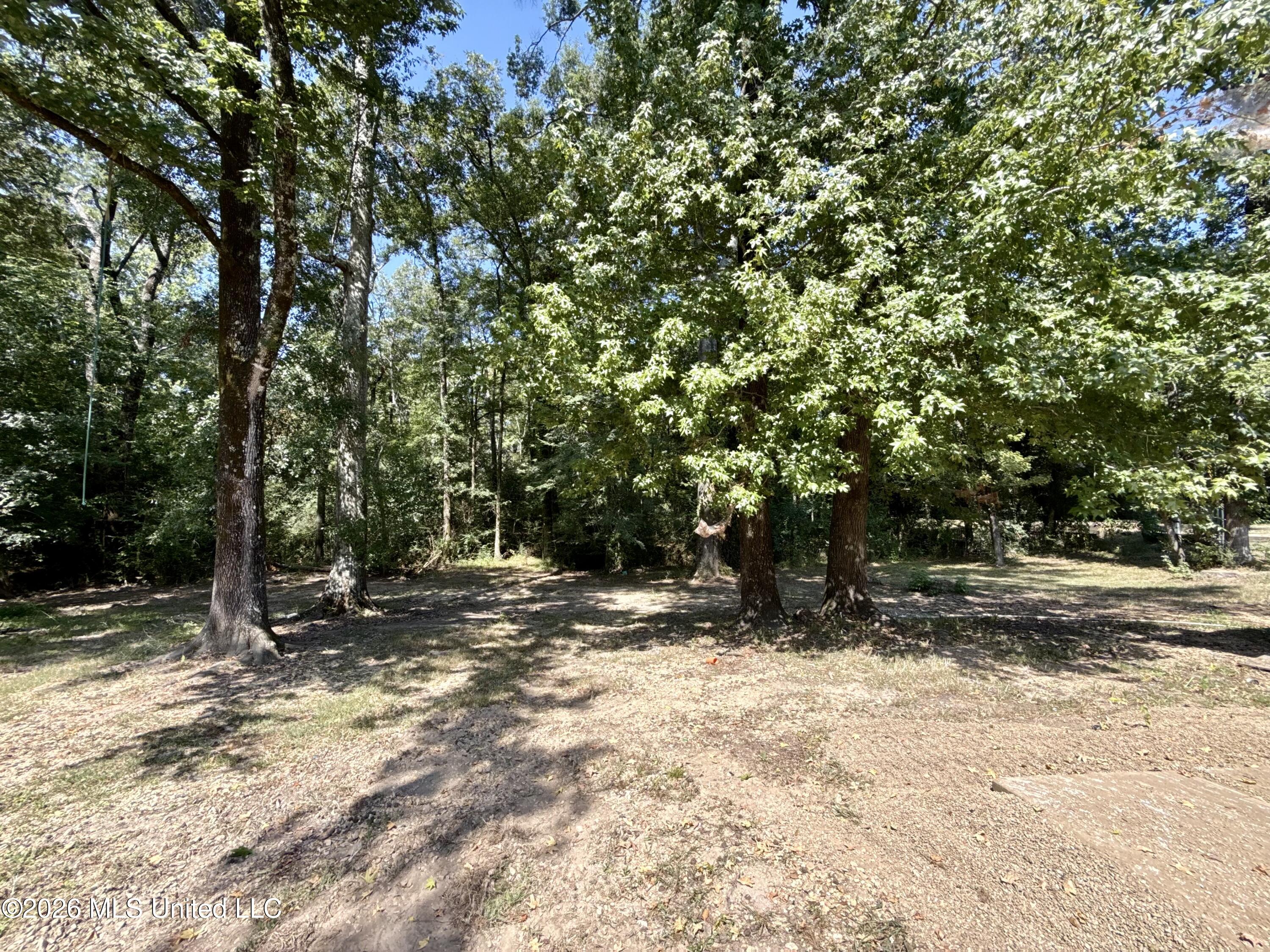 107 Copley Street Property Photo 19