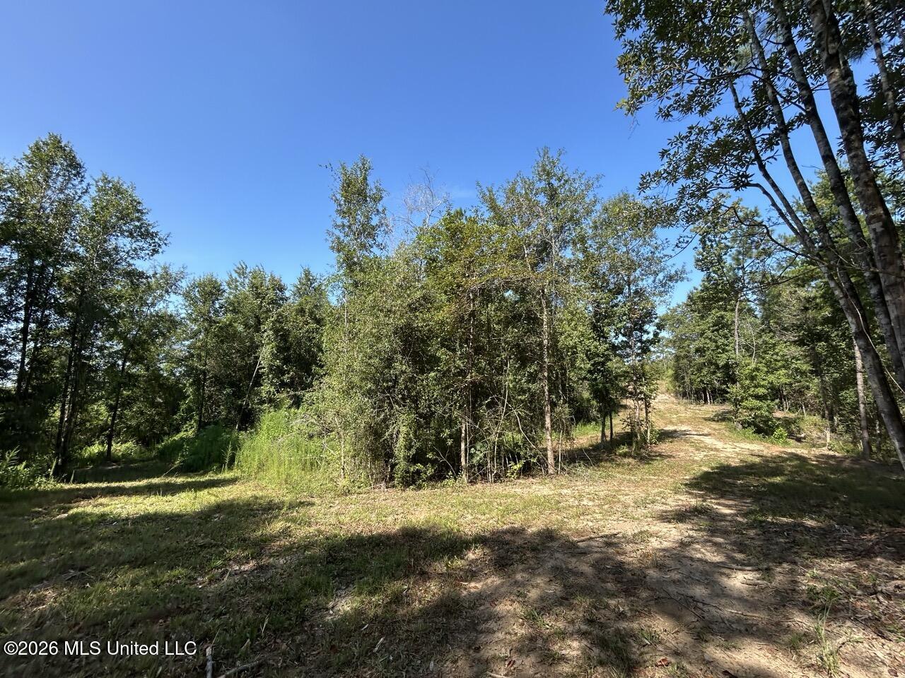 2 Dewitt Lane Property Photo 16