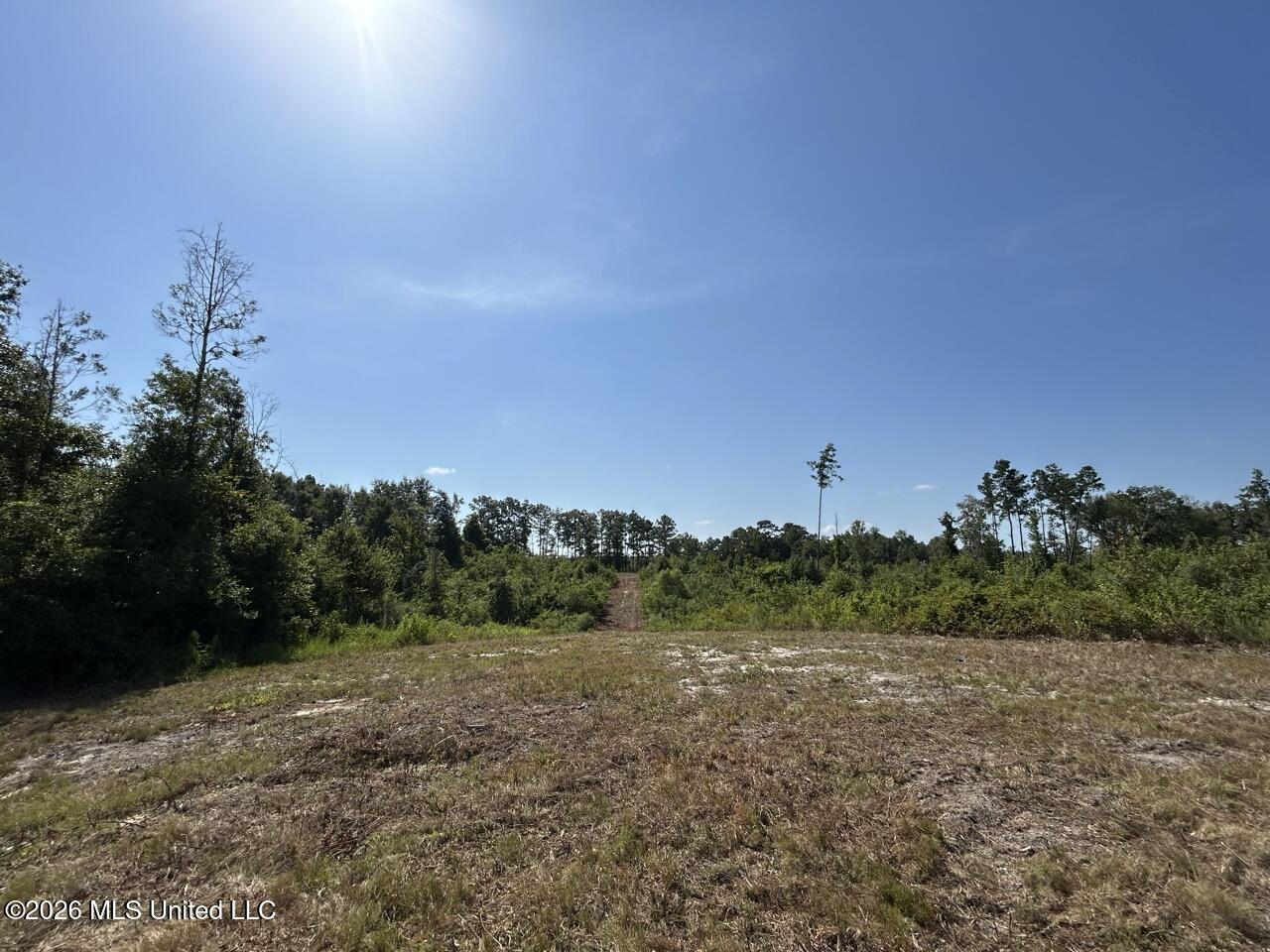 2 Dewitt Lane Property Photo 19