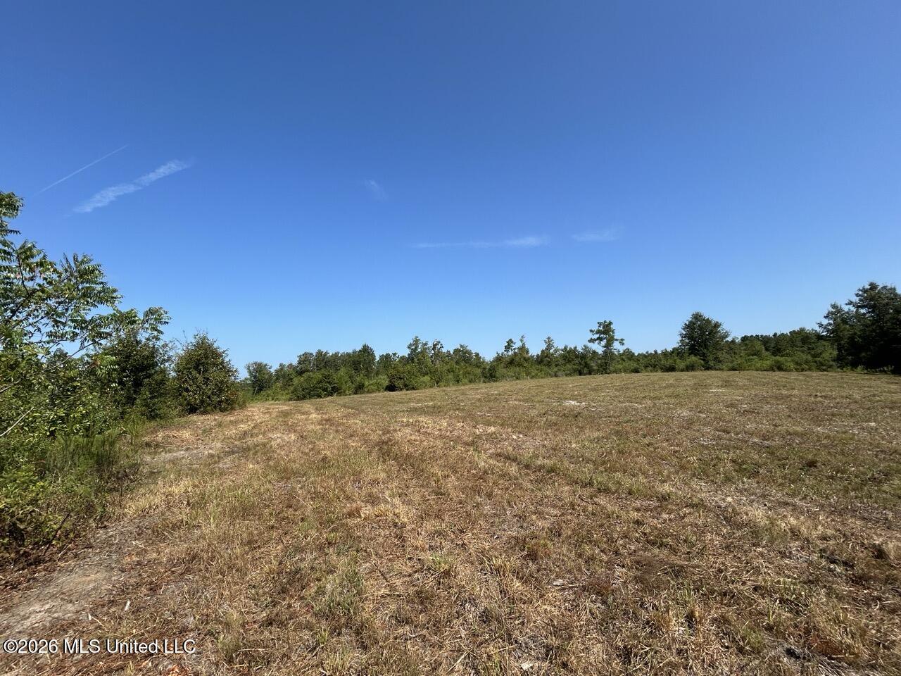 2 Dewitt Lane Property Photo 20