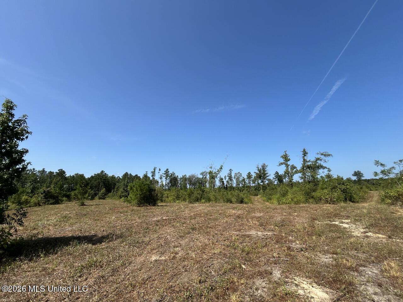 2 Dewitt Lane Property Photo 22