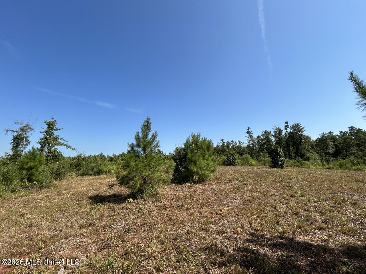 2 Dewitt Lane Property Photo 23