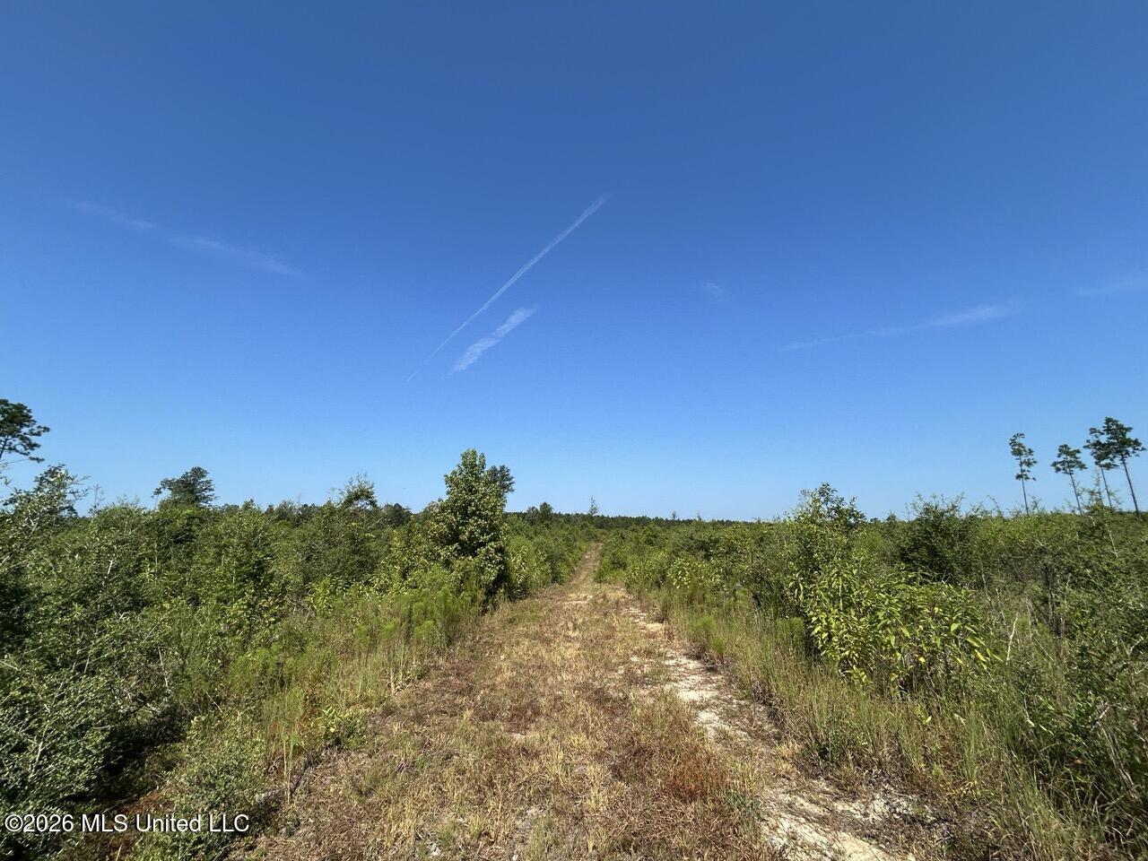 2 Dewitt Lane Property Photo 24