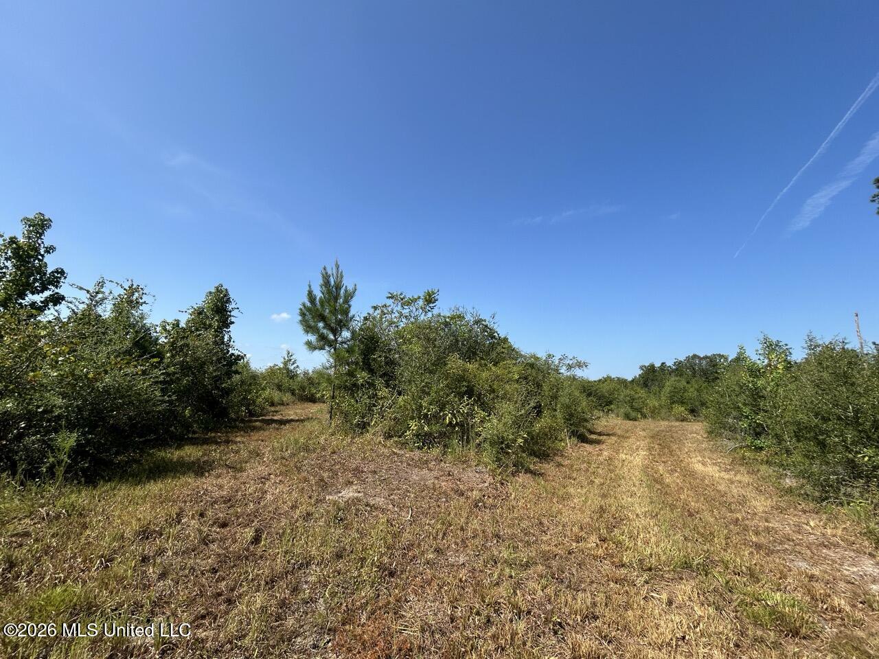 2 Dewitt Lane Property Photo 25