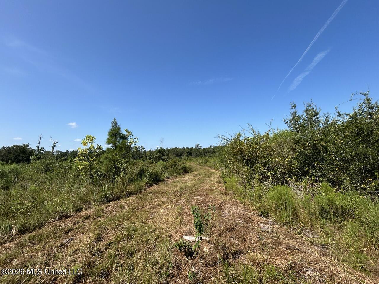 2 Dewitt Lane Property Photo 26