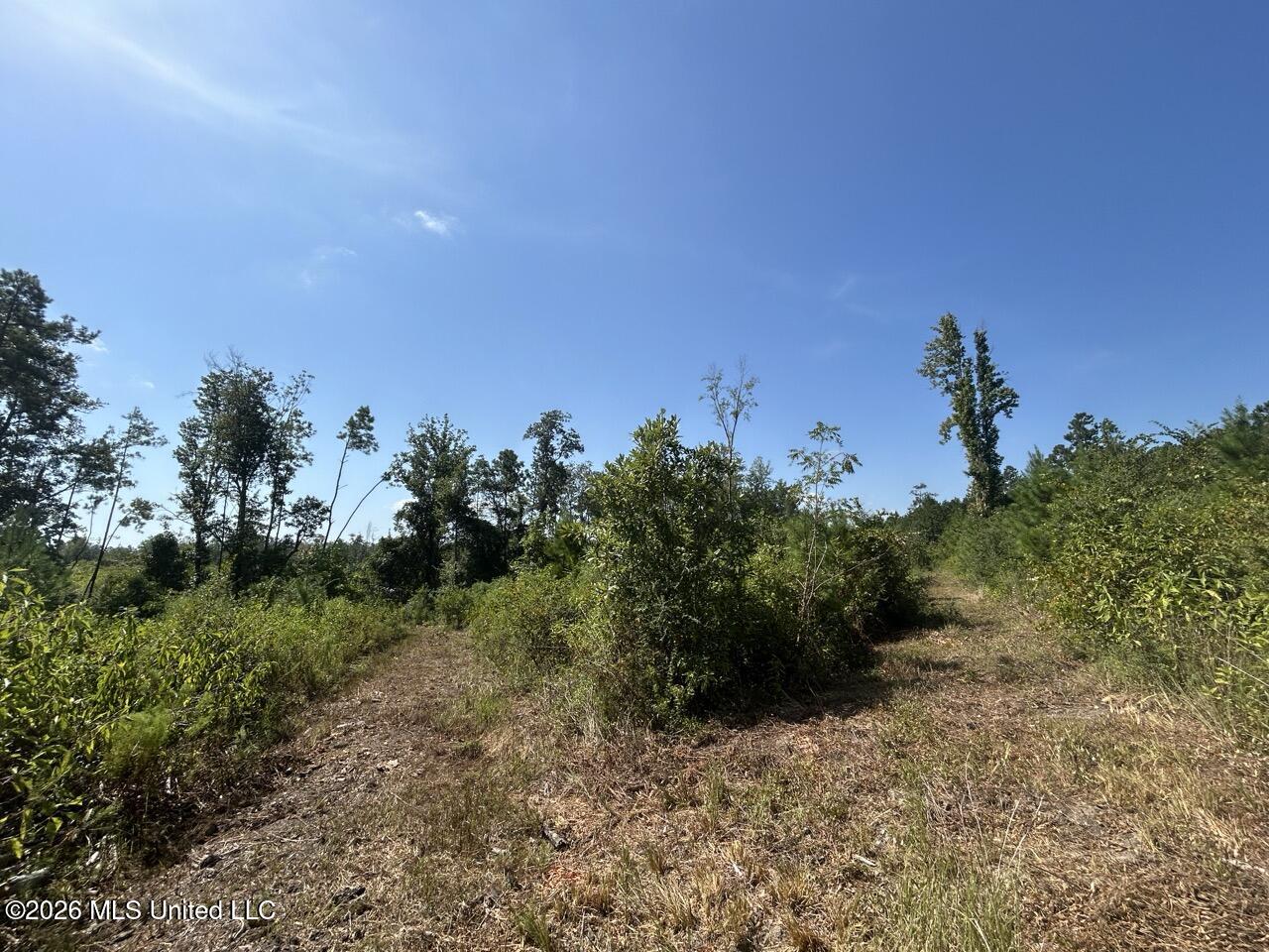 2 Dewitt Lane Property Photo 30