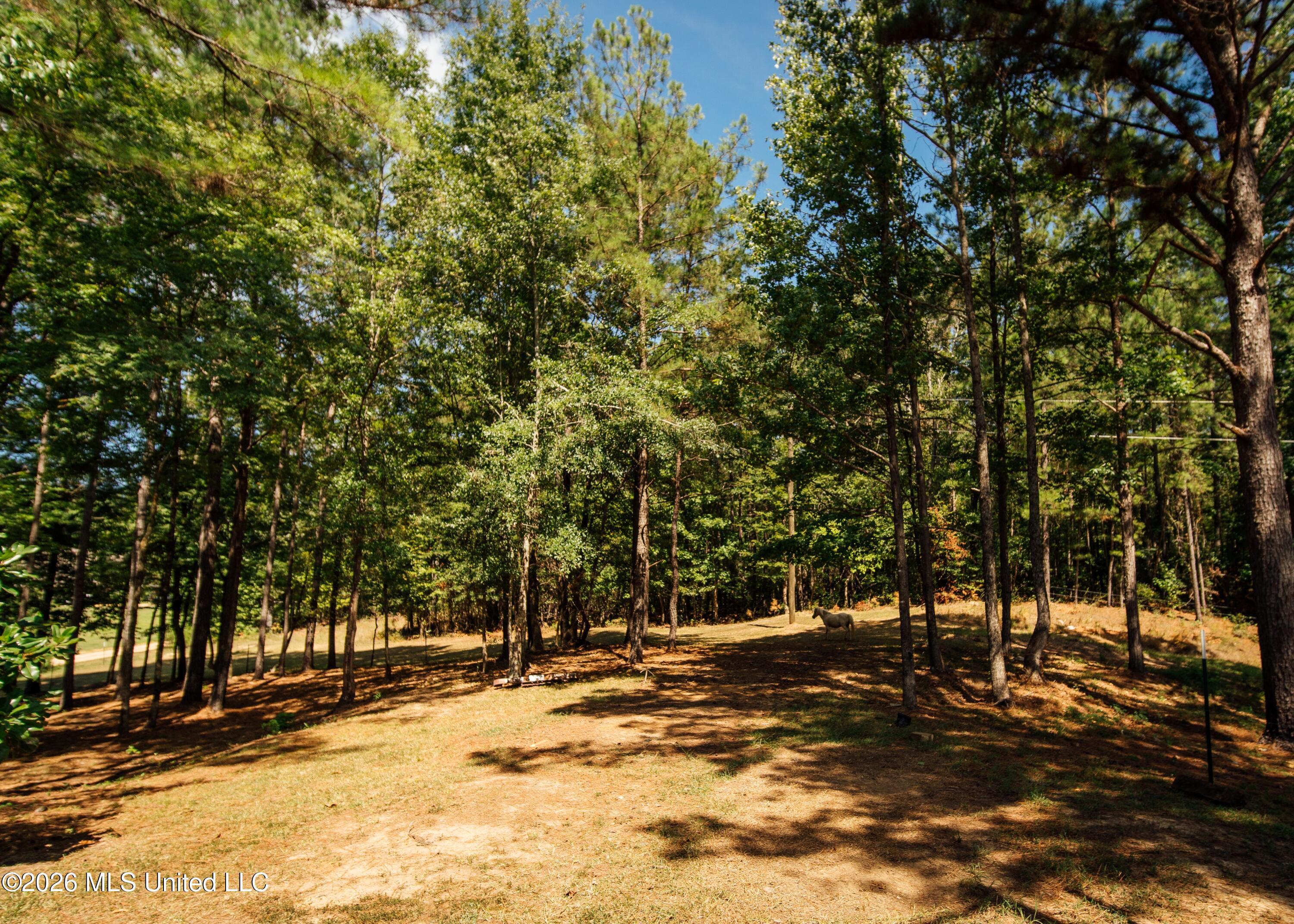 495 Austin Place Property Photo 10