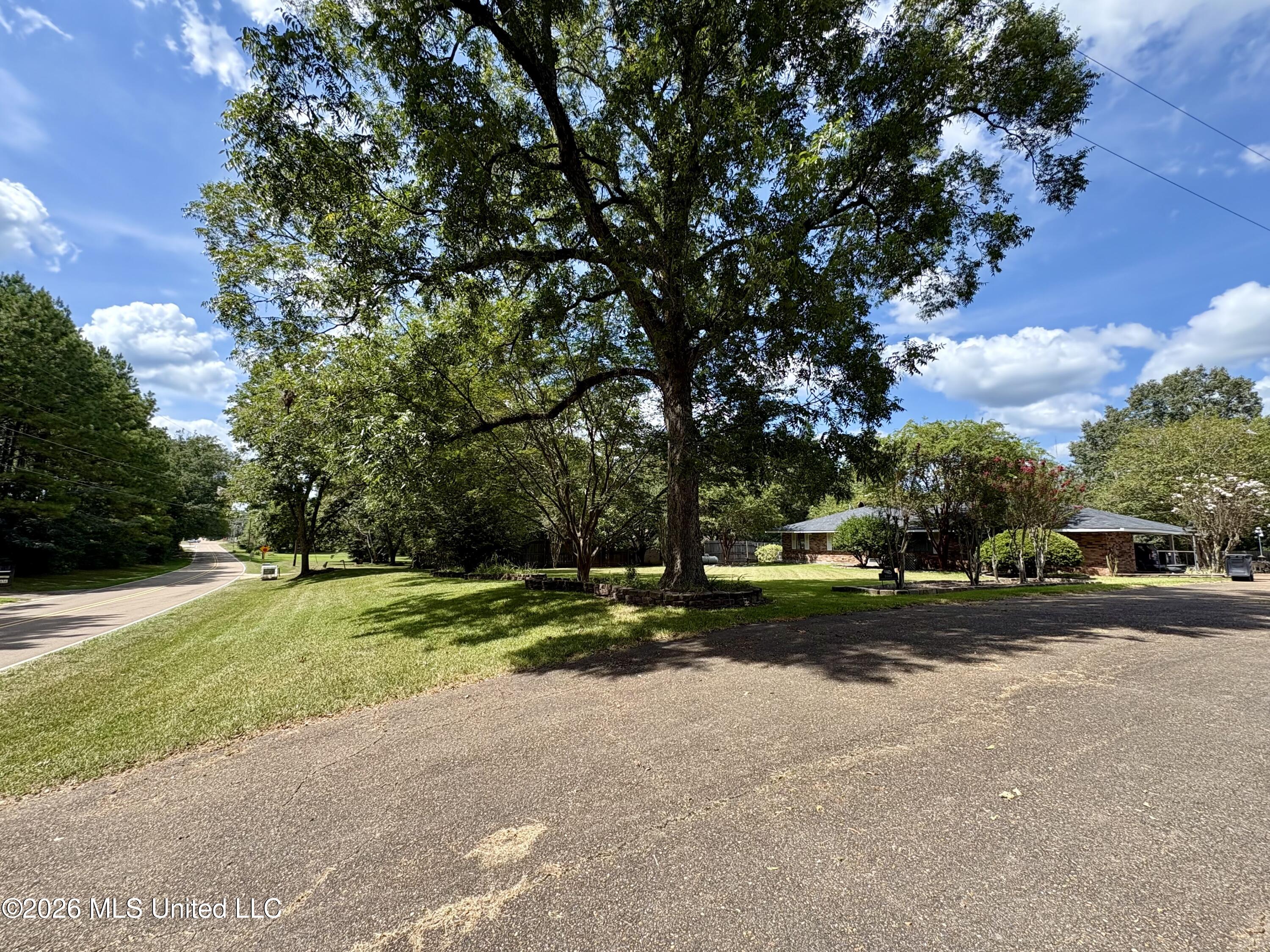 1041 Lower Centreville Road Property Photo 4