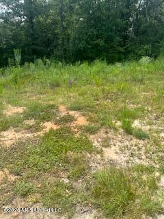 189 Walter Havard Road Property Photo 5