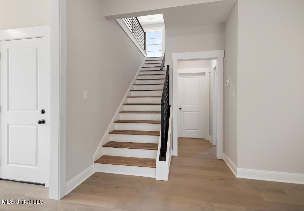 7579 Thomas Riley Street Property Photo 18