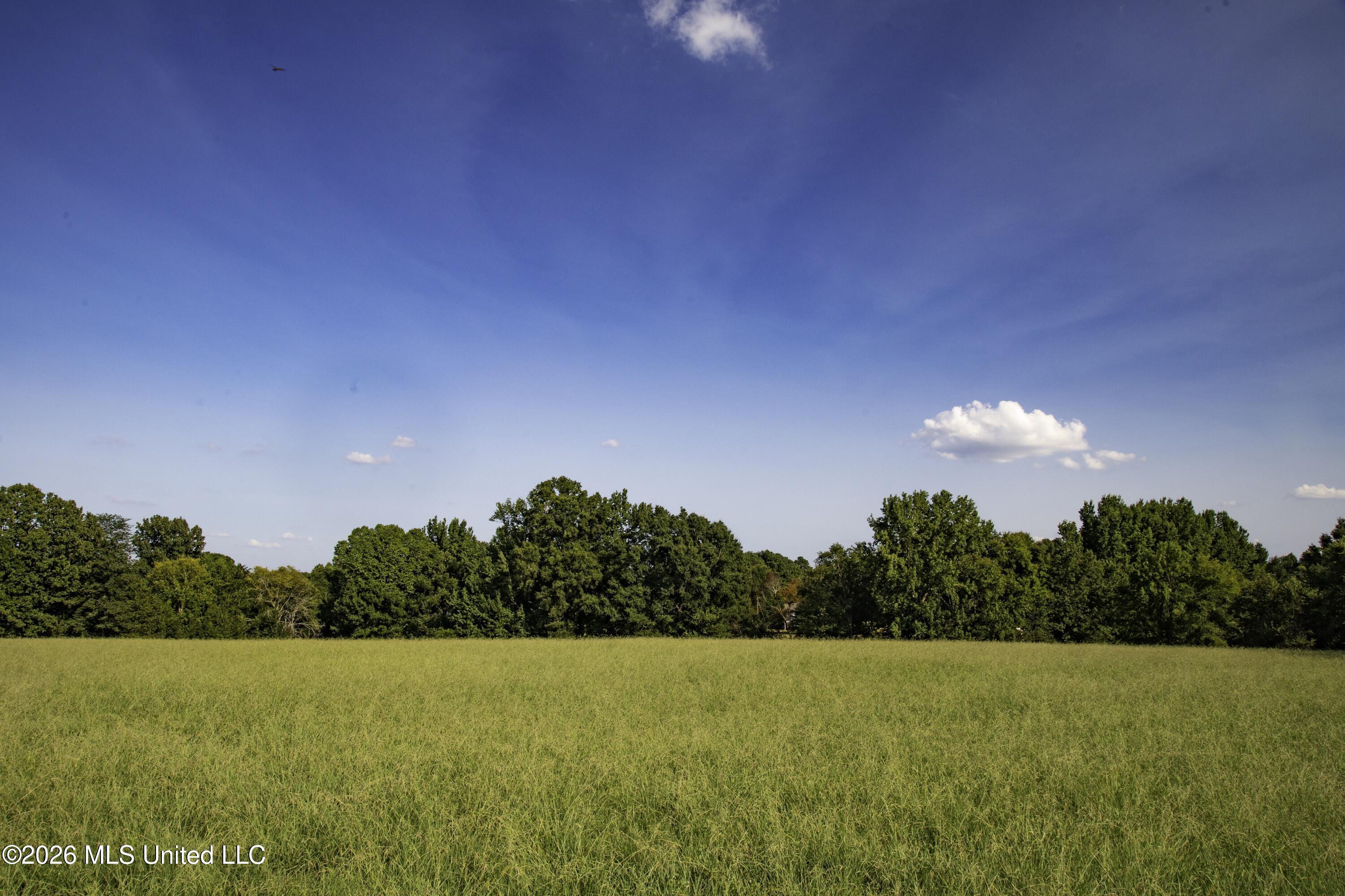 5376 Byhalia Road Property Photo 2