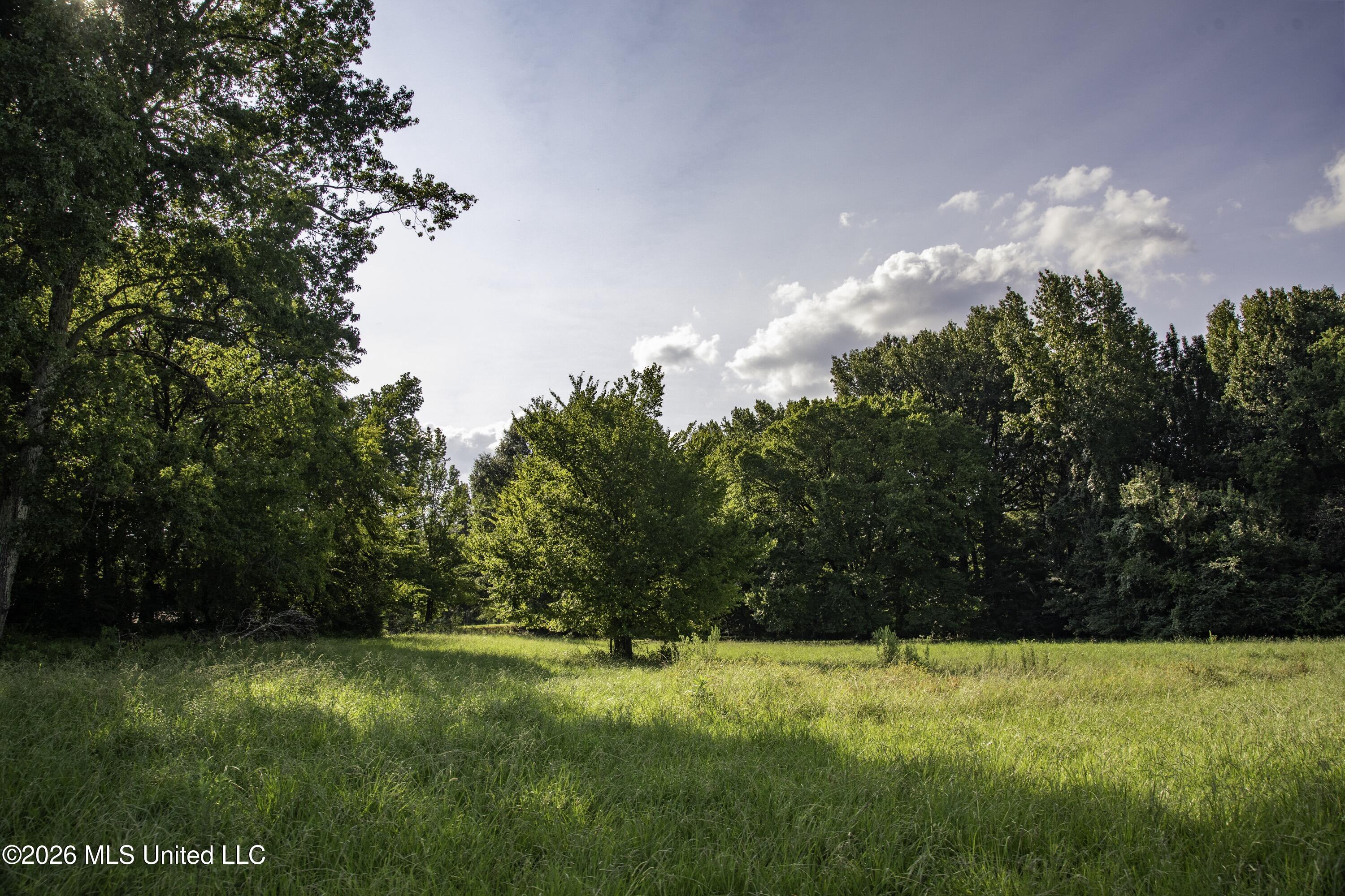 5376 Byhalia Road Property Photo 4