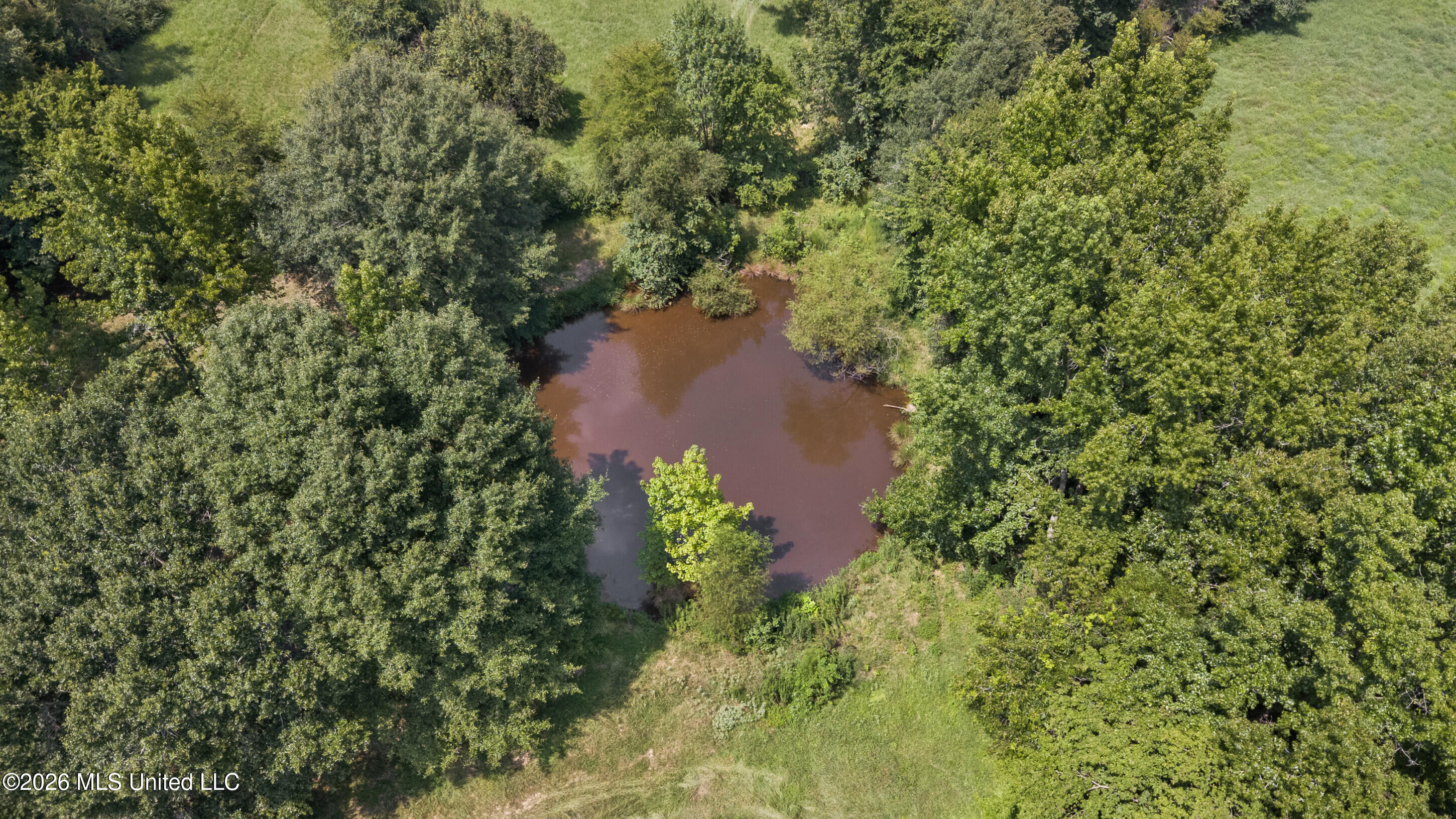 5376 Byhalia Road Property Photo 12