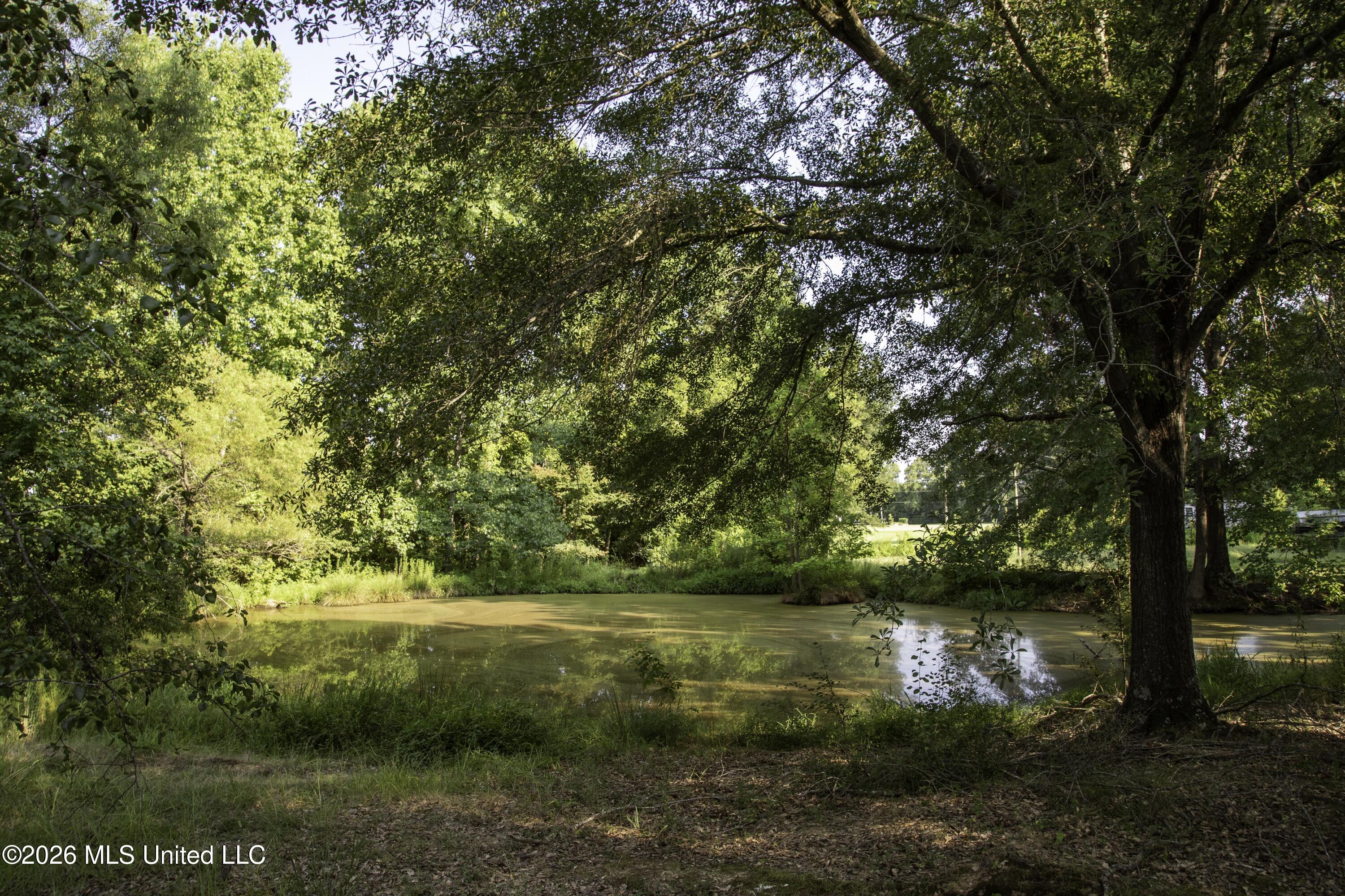 5376 Byhalia Road Property Photo 14