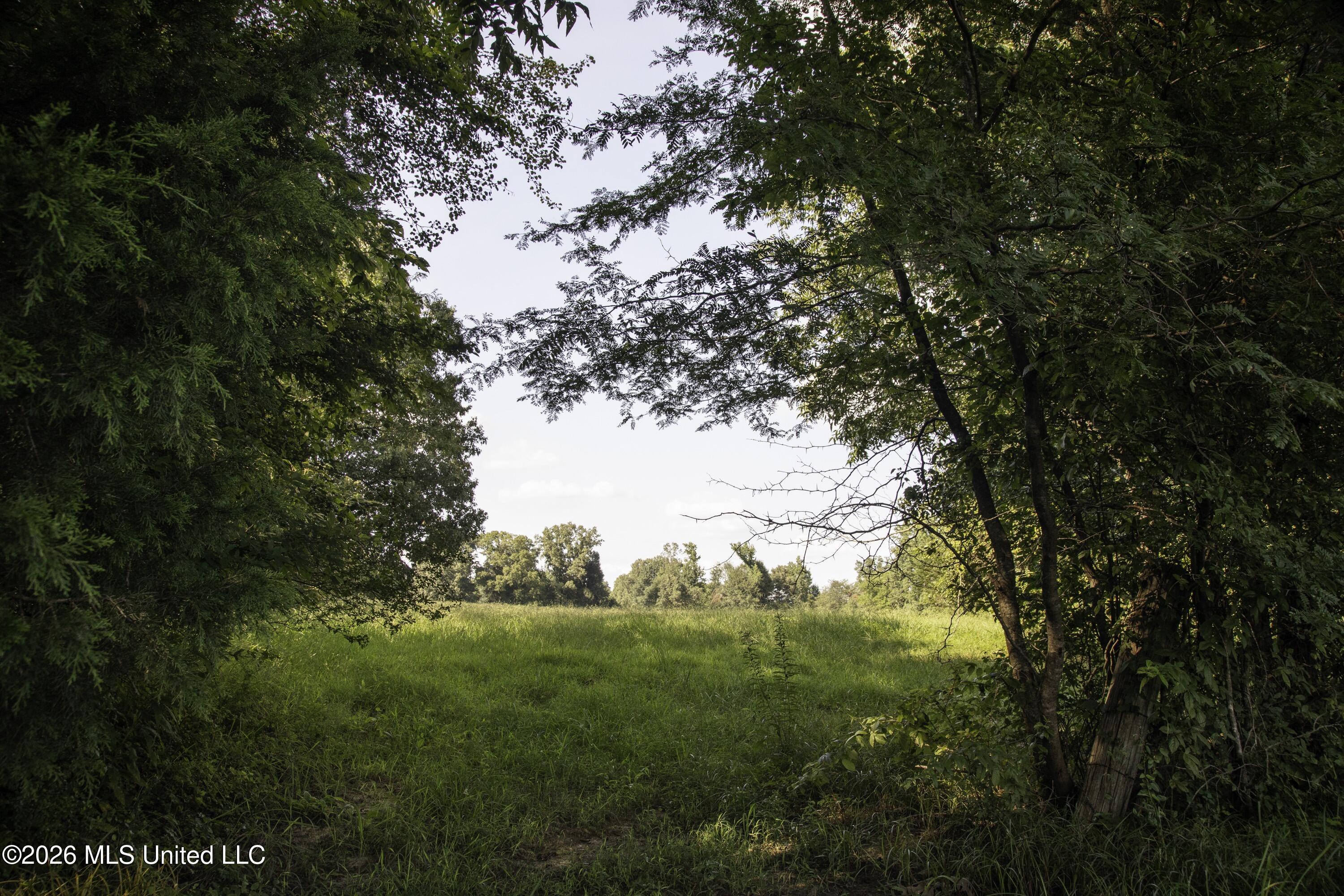 5376 Byhalia Road Property Photo 22