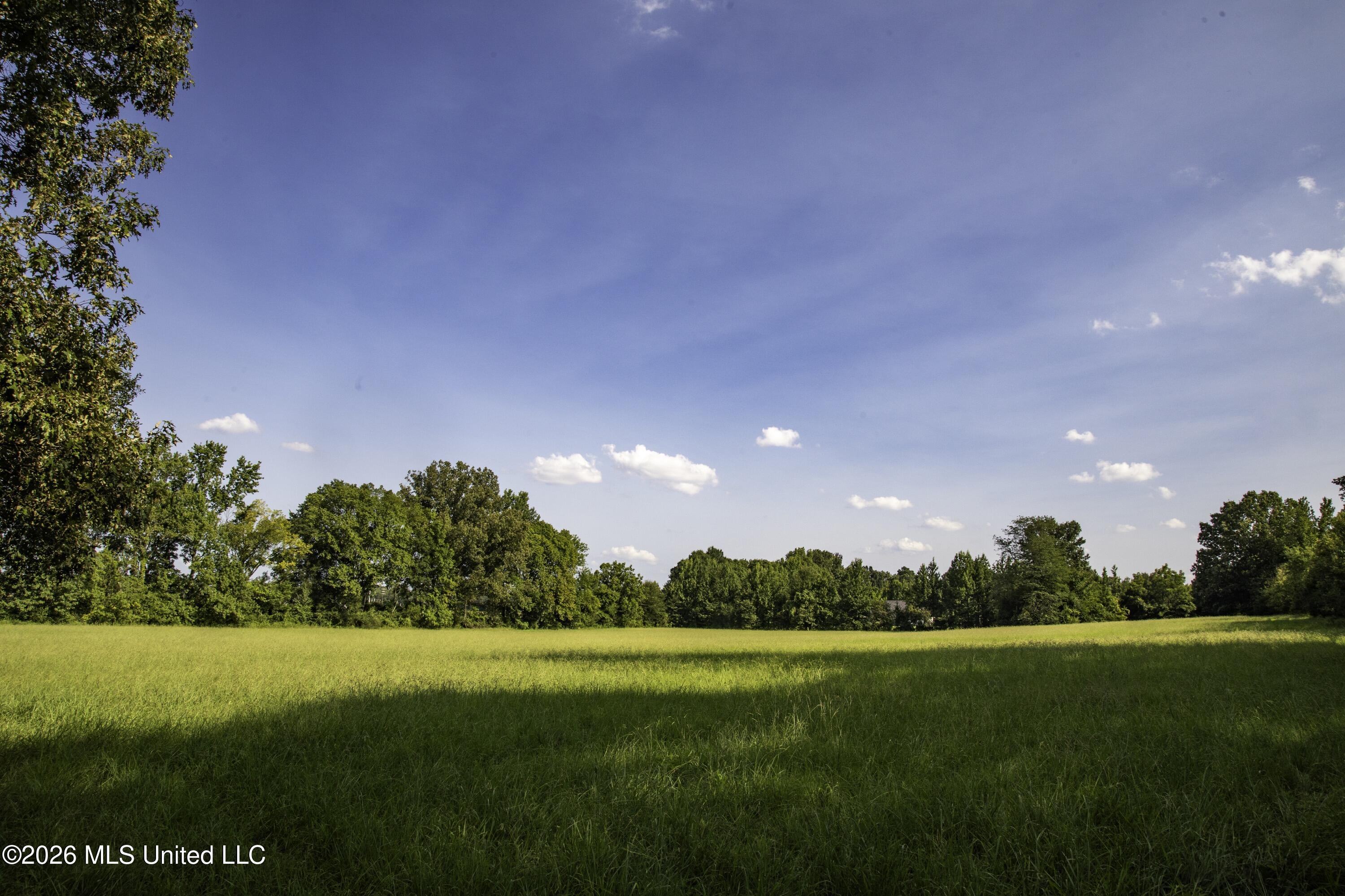 5376 Byhalia Road Property Photo 23