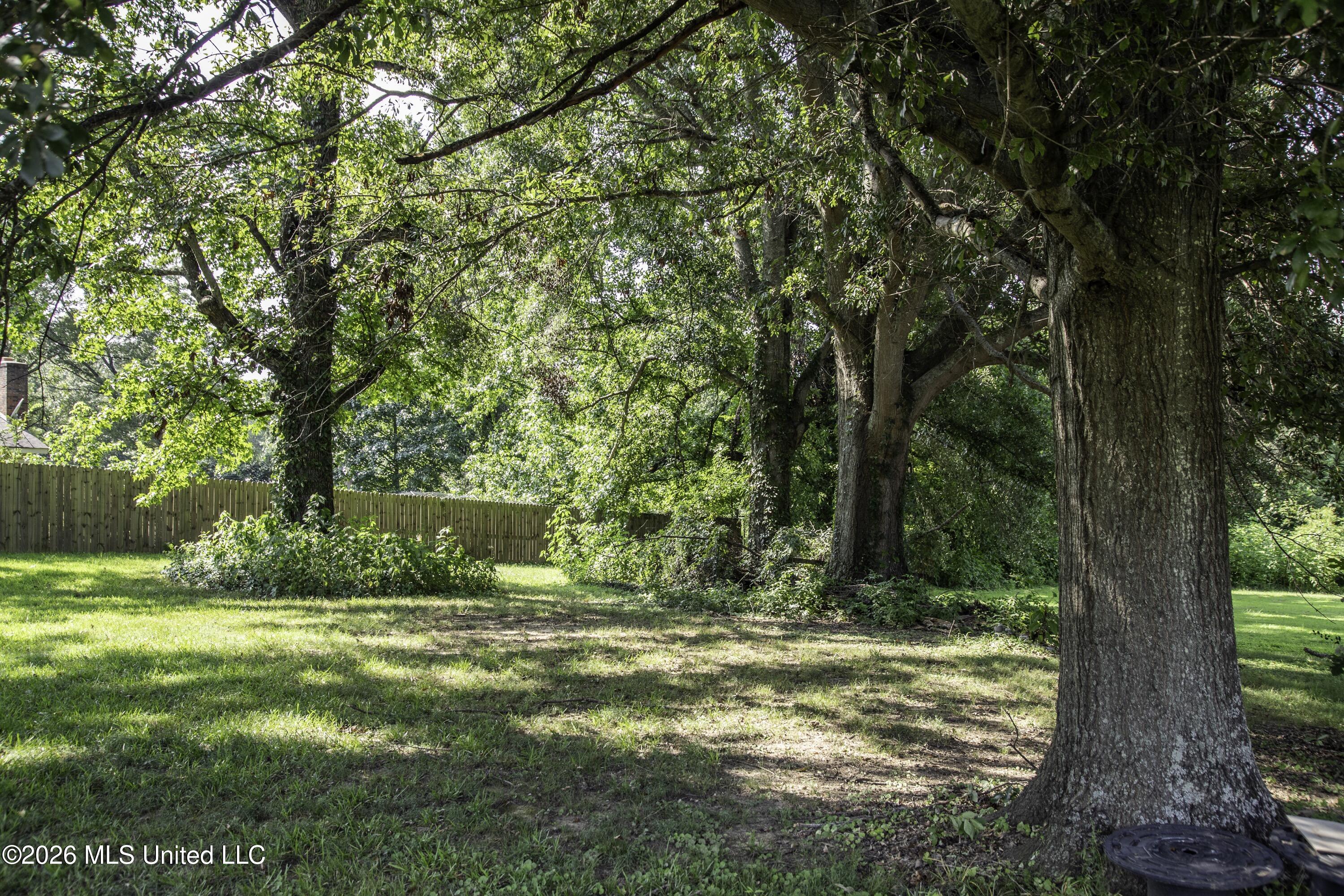 5376 Byhalia Road Property Photo 26