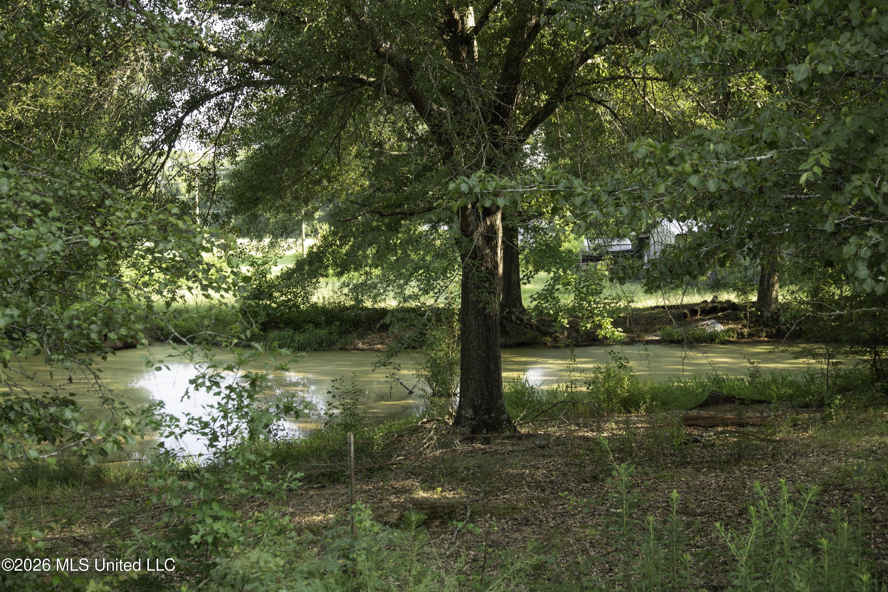 5376 Byhalia Road Property Photo 28