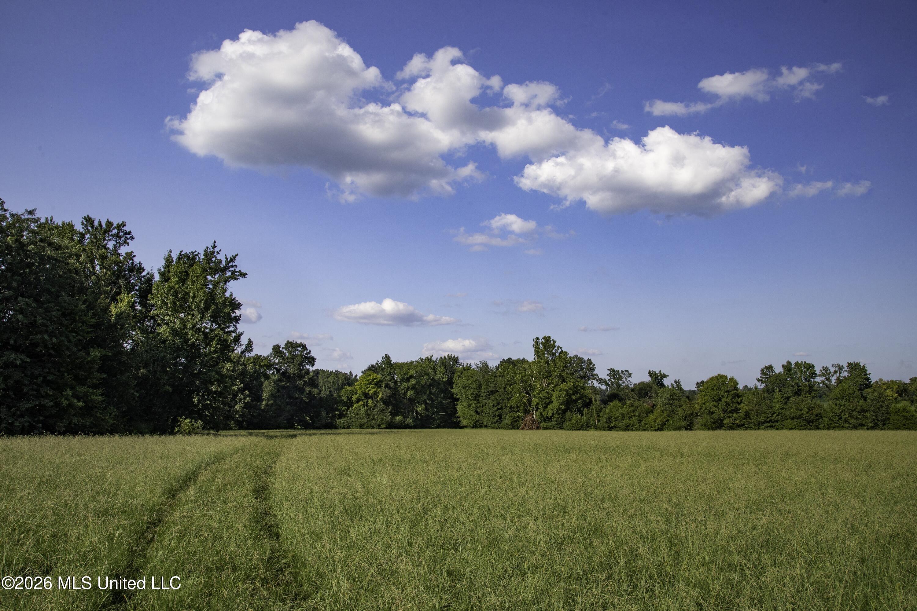 5376 Byhalia Road Property Photo 29
