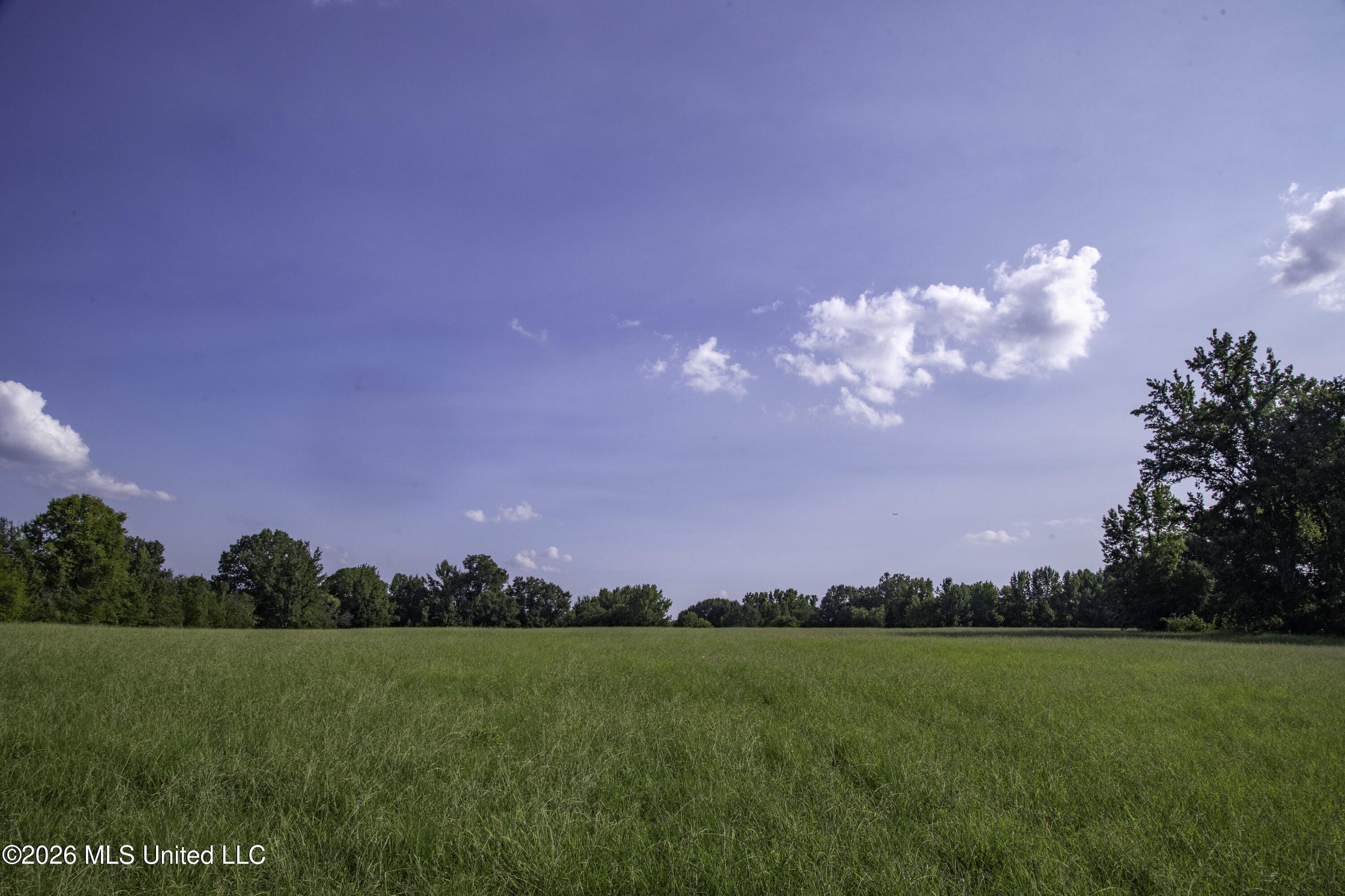 5376 Byhalia Road Property Photo 31