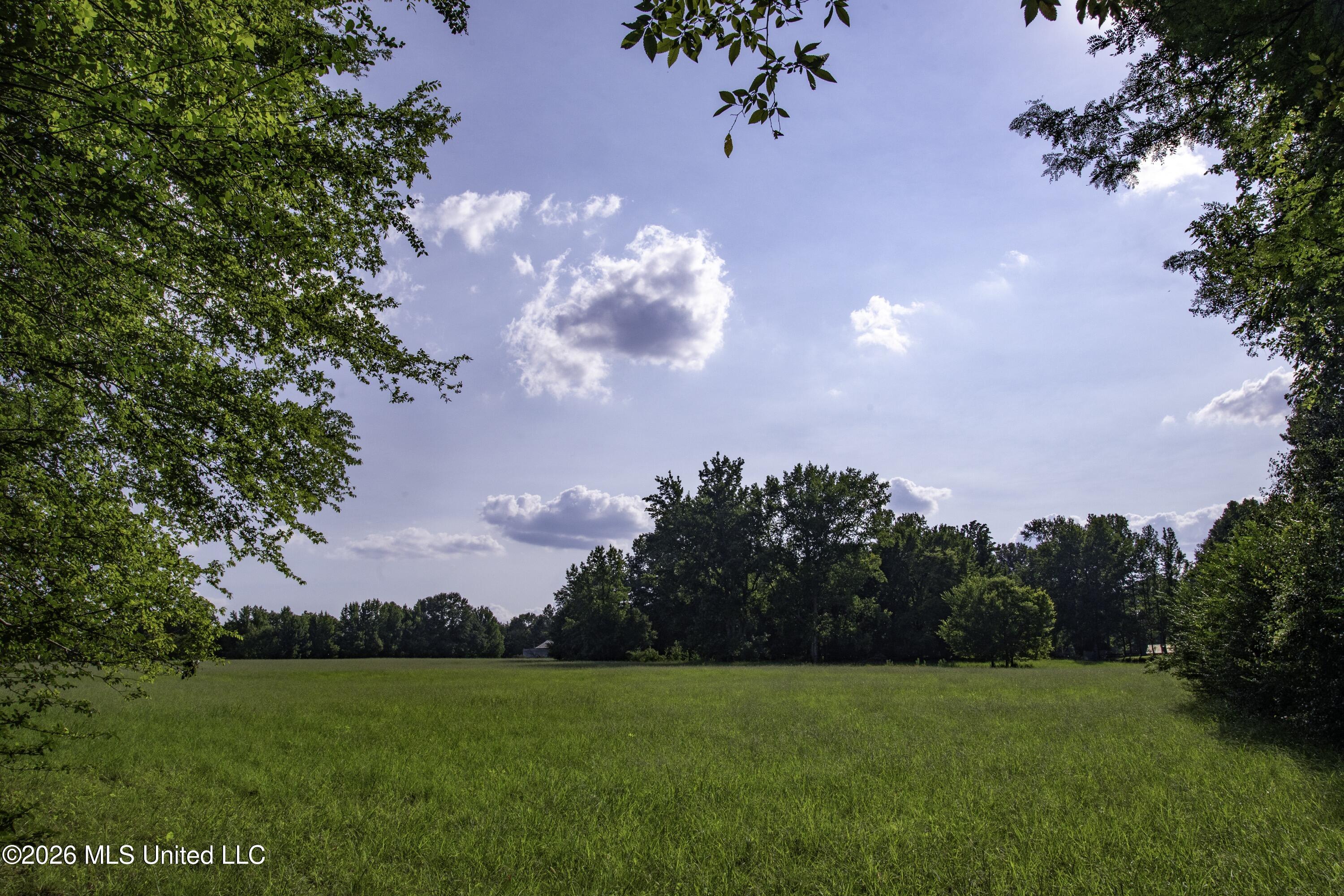 5376 Byhalia Road Property Photo 32