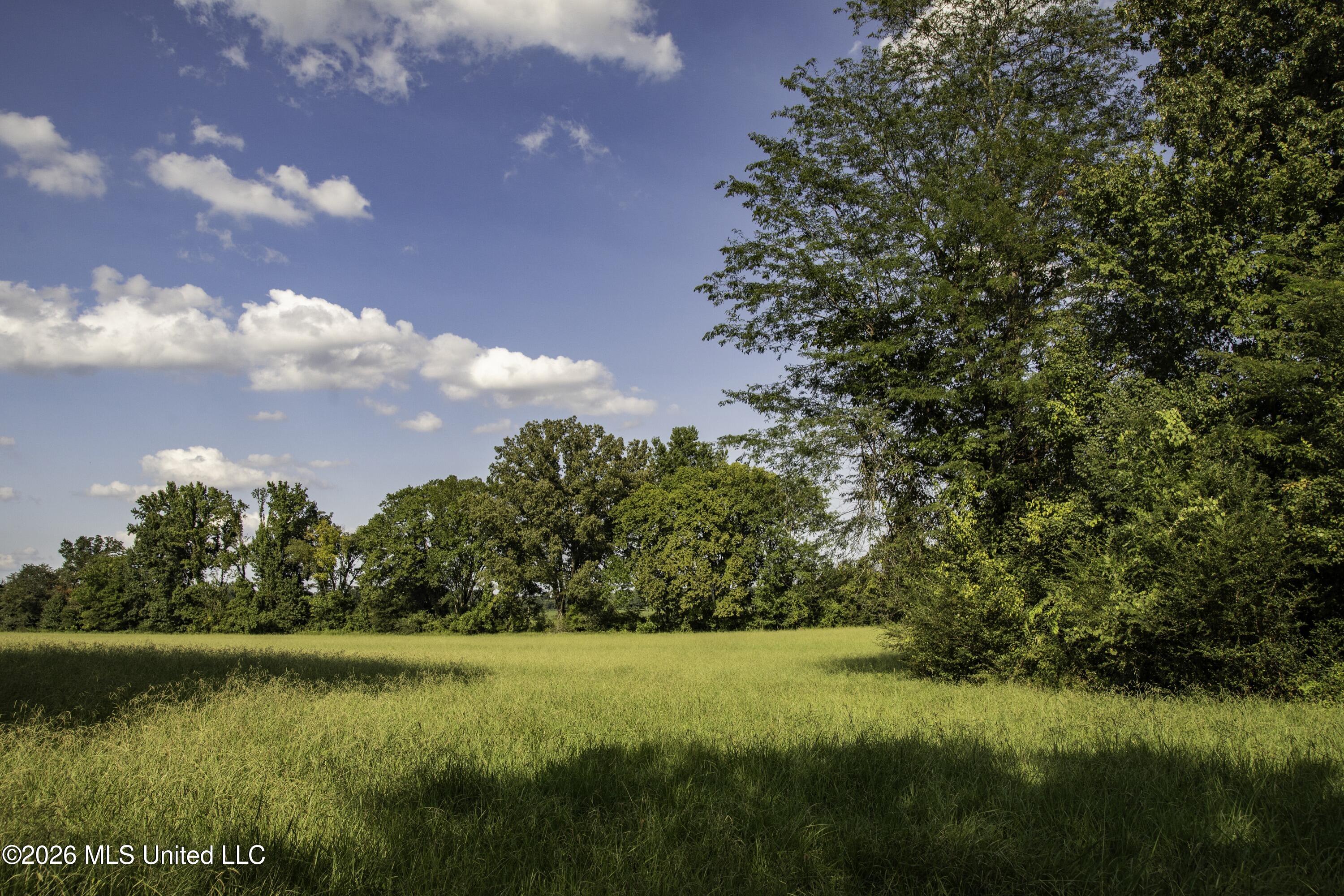 5376 Byhalia Road Property Photo 33