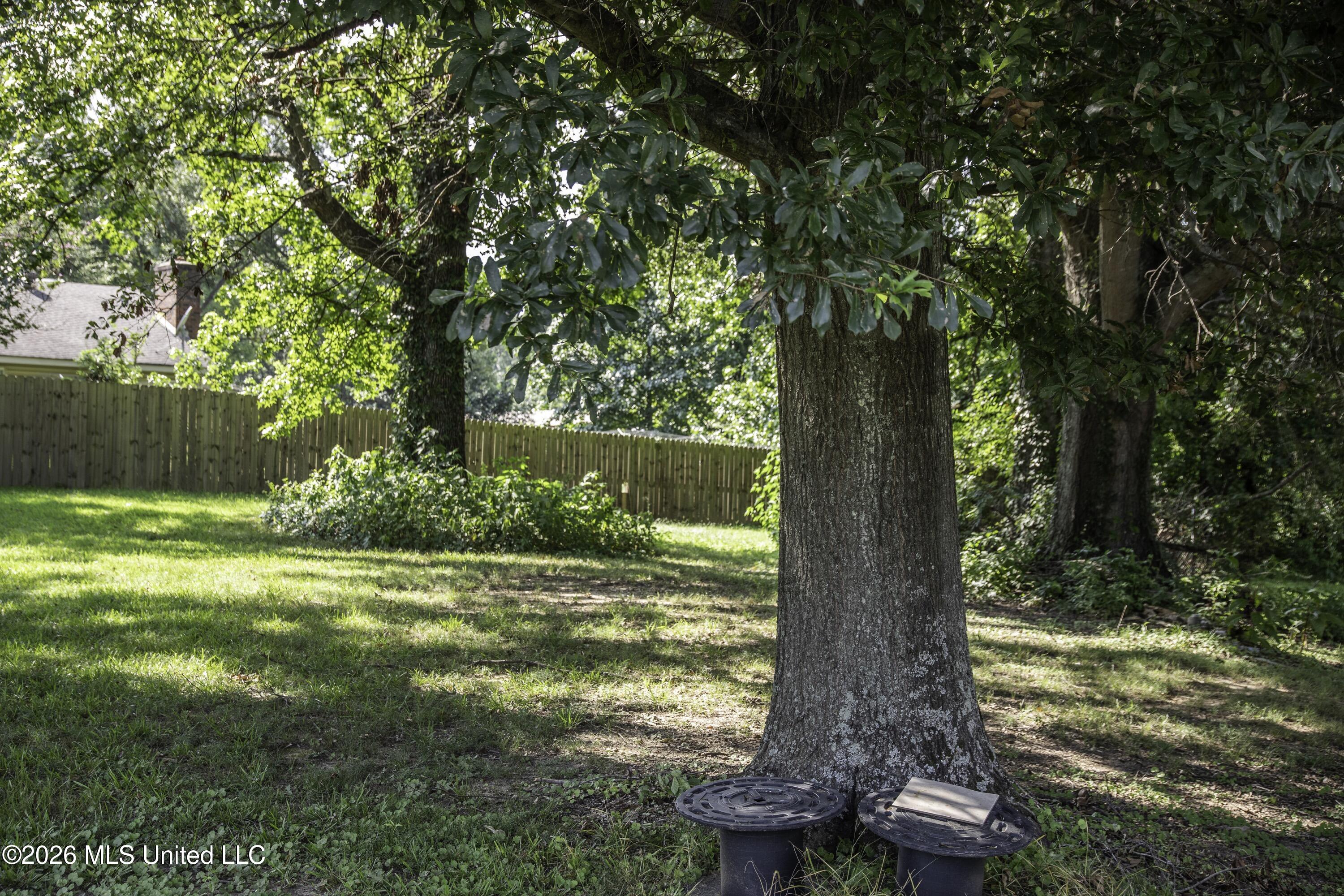 5376 Byhalia Road Property Photo 34