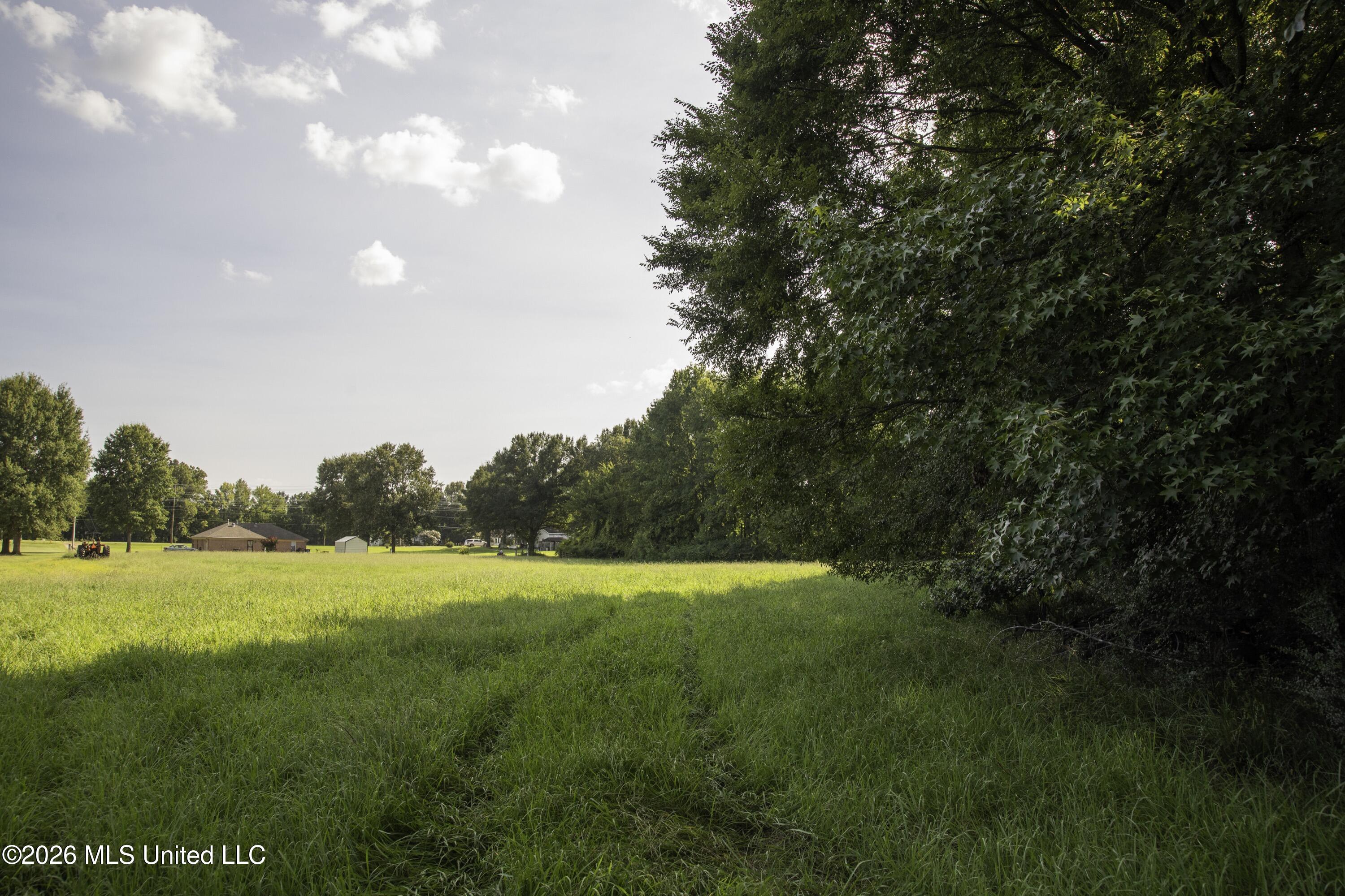 5376 Byhalia Road Property Photo 35