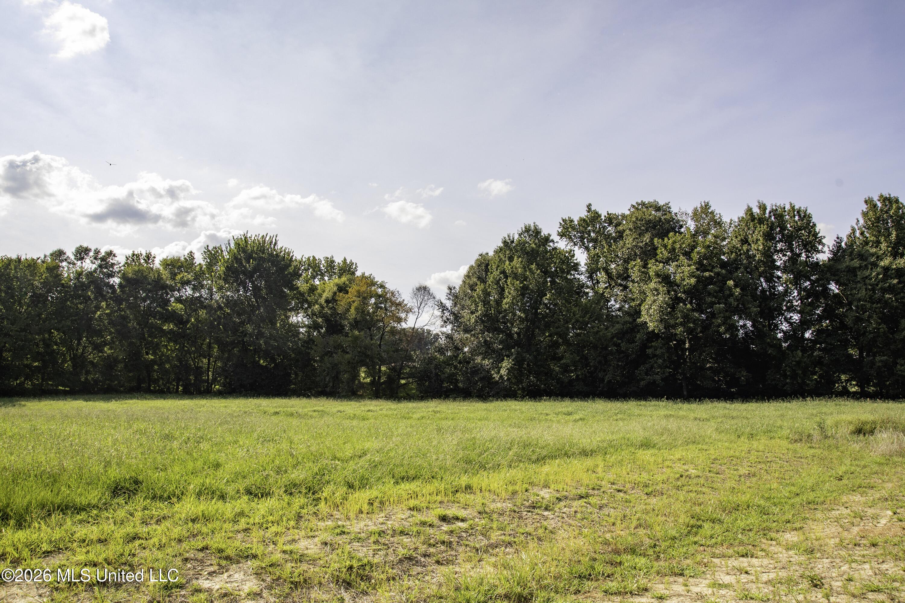 5376 Byhalia Road Property Photo 36