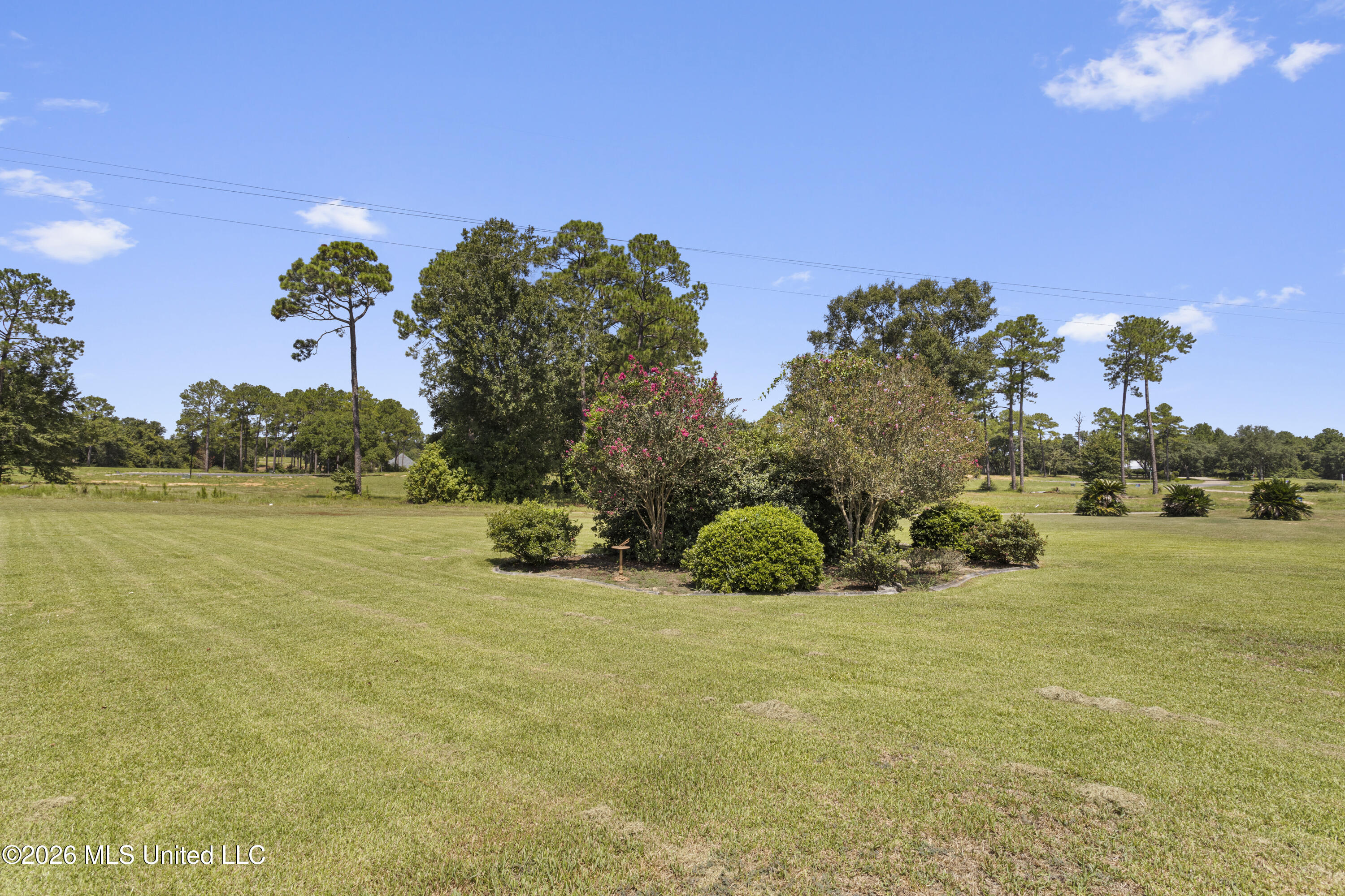 17433 Dogwood Hills Drive Property Photo 66